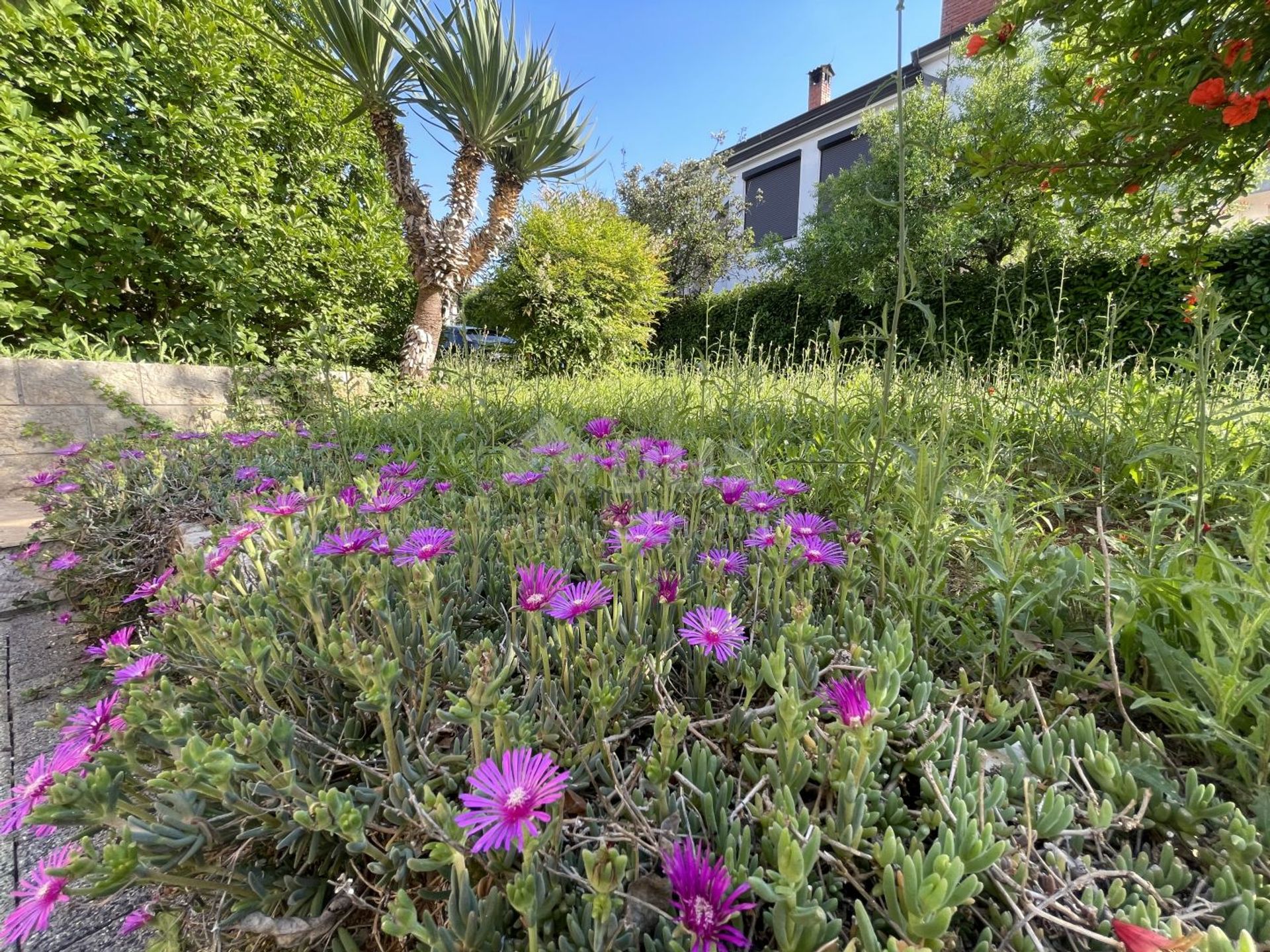 Hus i Rovinjsko Selo, Istria County 10868292