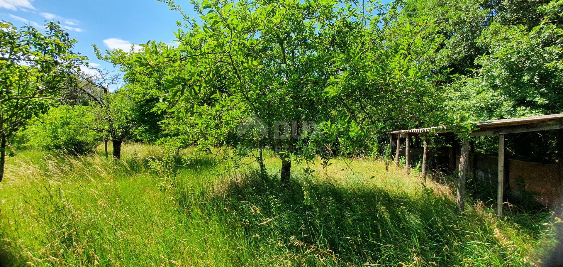 Land in Barban, Istarska Zupanija 10868301