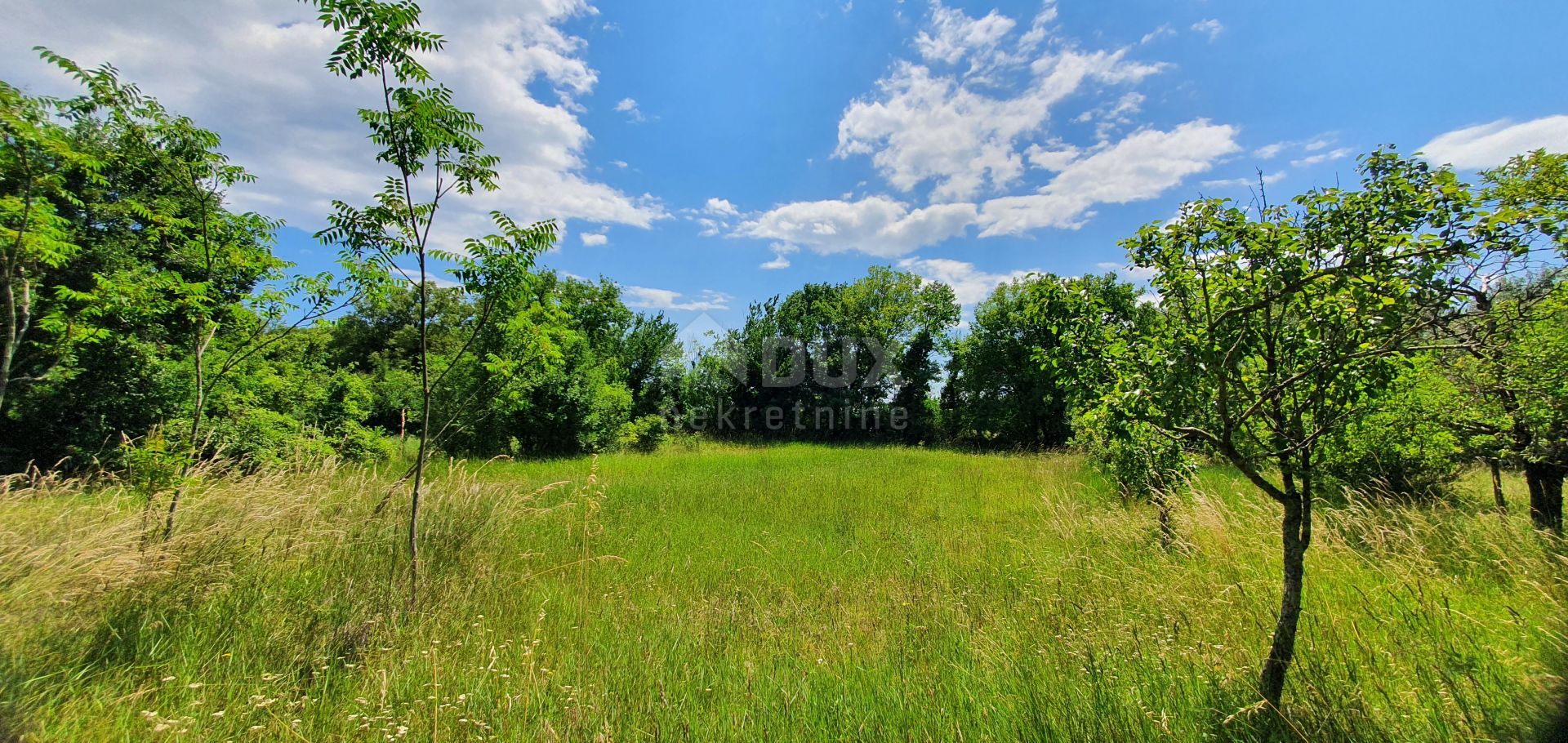 Land in Barban, Istarska Zupanija 10868301