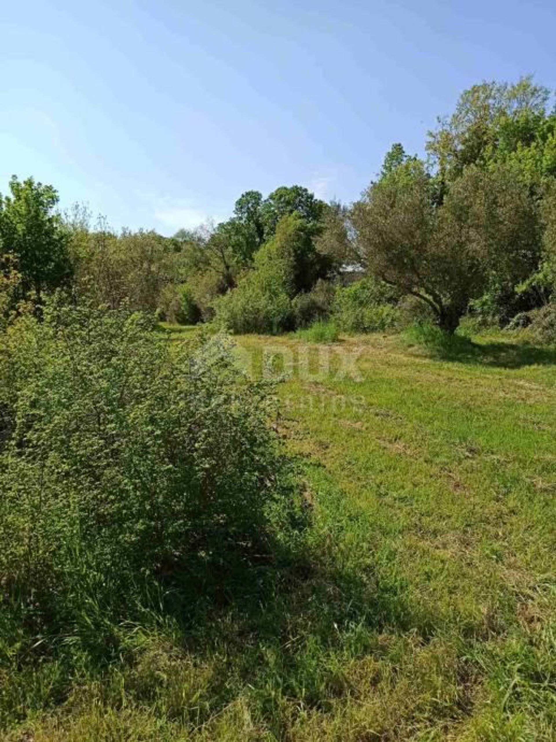 Land in Pavićini, Istarska županija 10868437