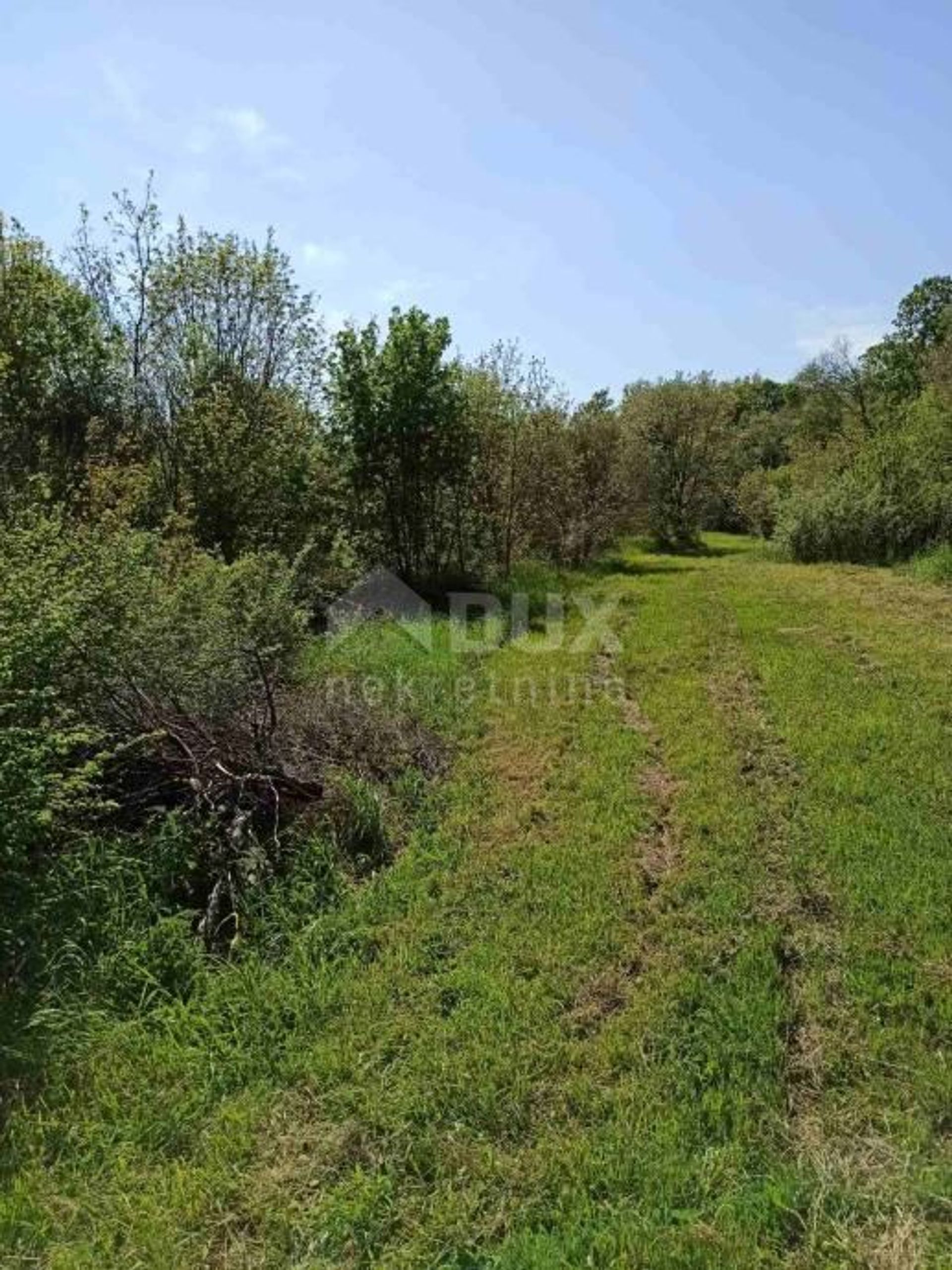 Land in Pavićini, Istarska županija 10868437