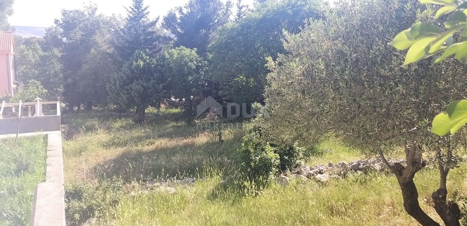 Tanah dalam Starigrad, Zadarska Zupanija 10868448