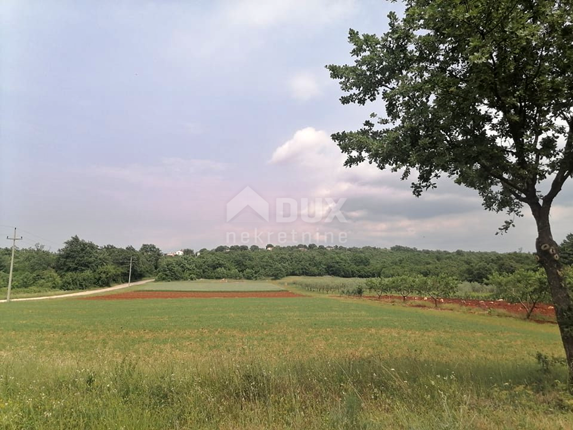 Tierra en Sveti Lovrec Pazenaticki, Istarska Županija 10868544