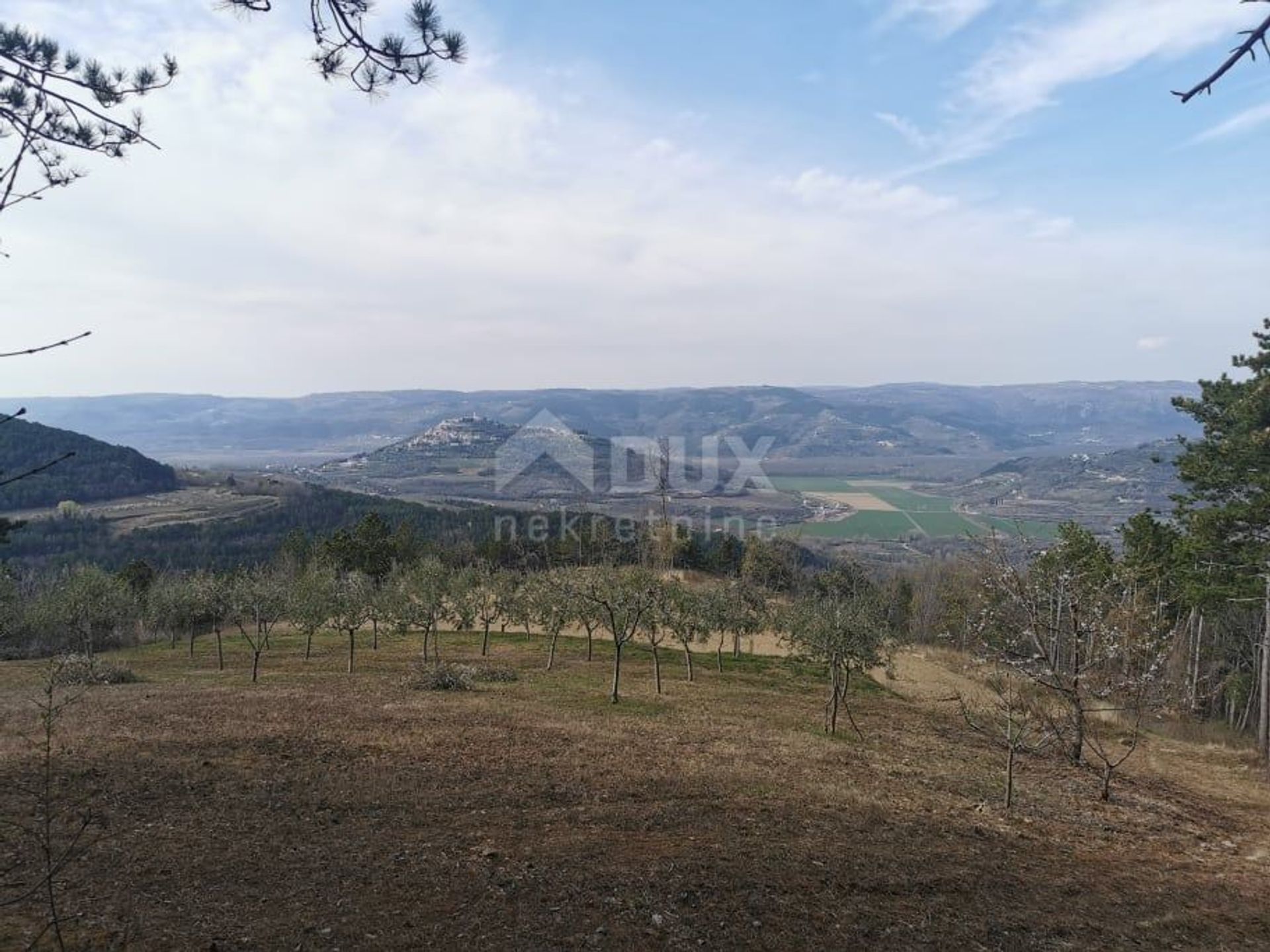 Tanah di Motovun, Istarska Zupanija 10868974