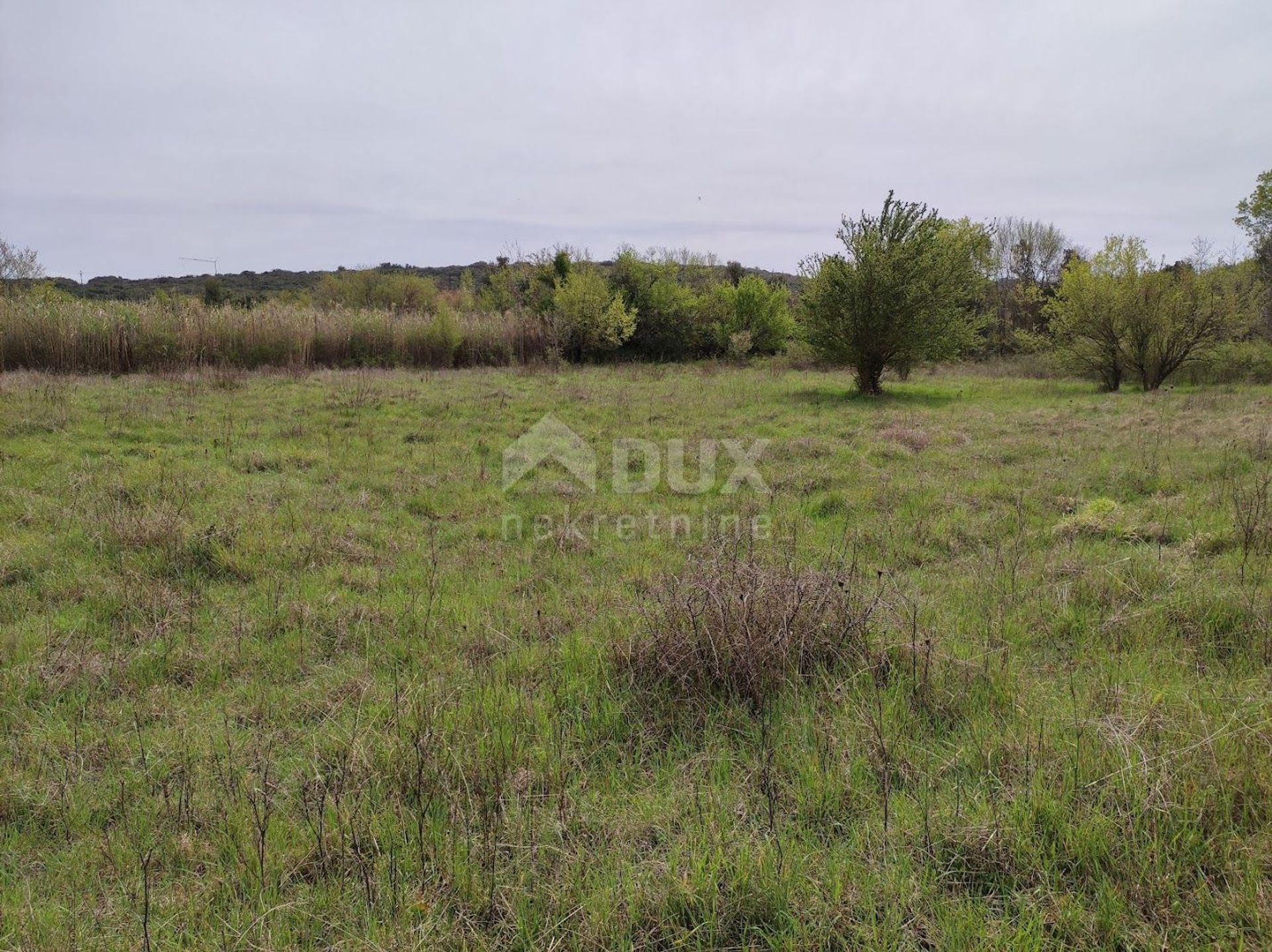 Land in Stinjan, Istarska Zupanija 10868981