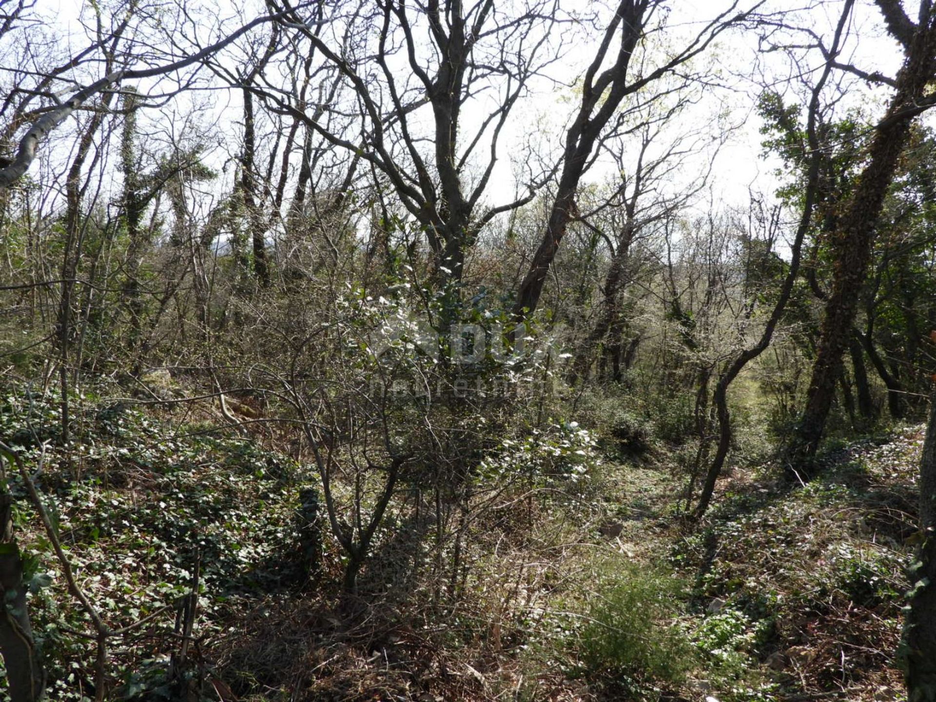 土地 在 克拉列维察, 滨海边疆区-山区祖帕尼娅 10869112