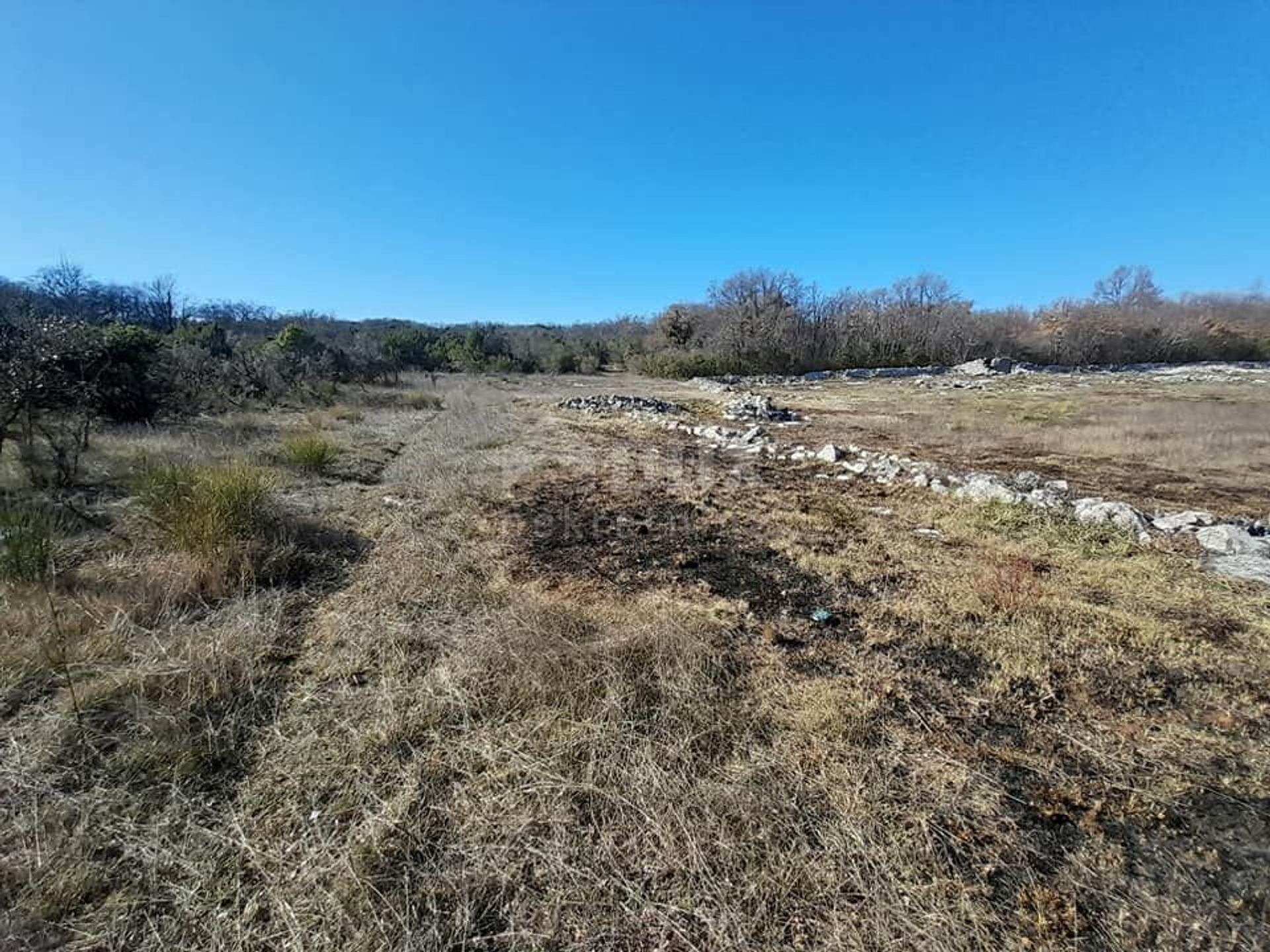 ארץ ב רוביני, איסטרסקה זופנייה 10869186