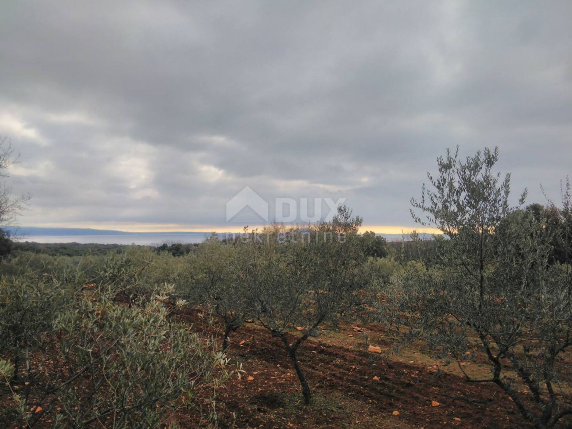 Land in Marcana, Istarska Zupanija 10869377