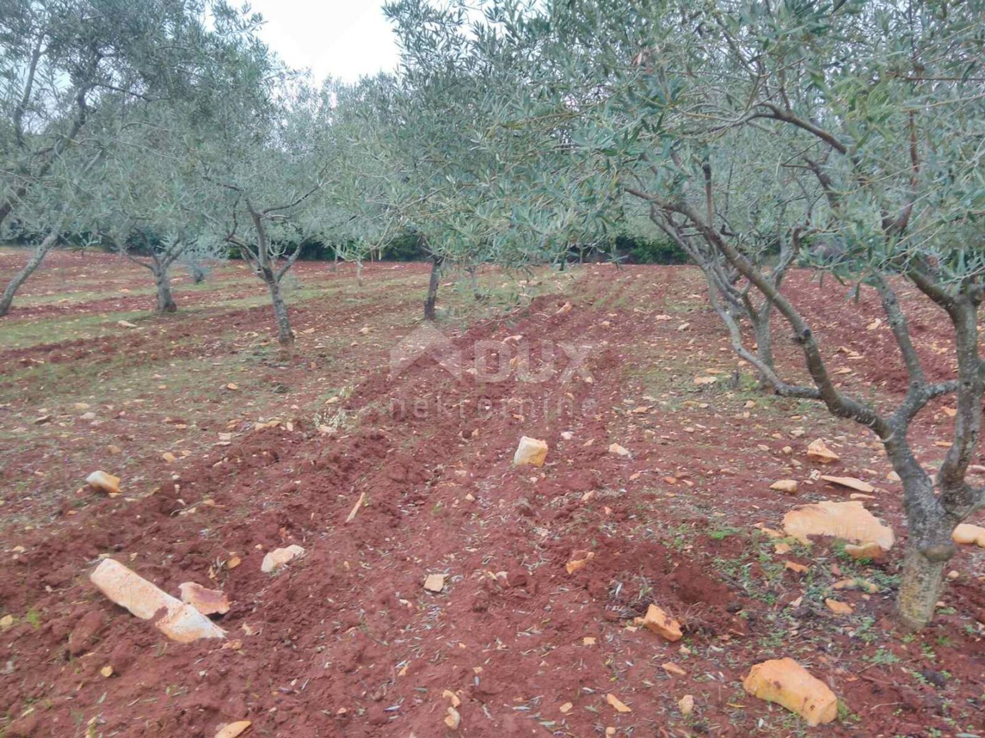 Land in Marcana, Istarska Zupanija 10869377