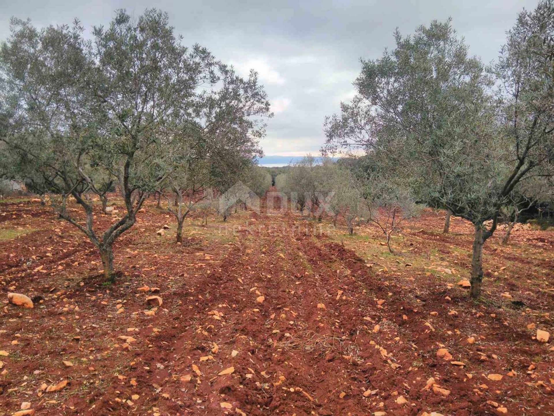 Land im Marčana, Istria County 10869377