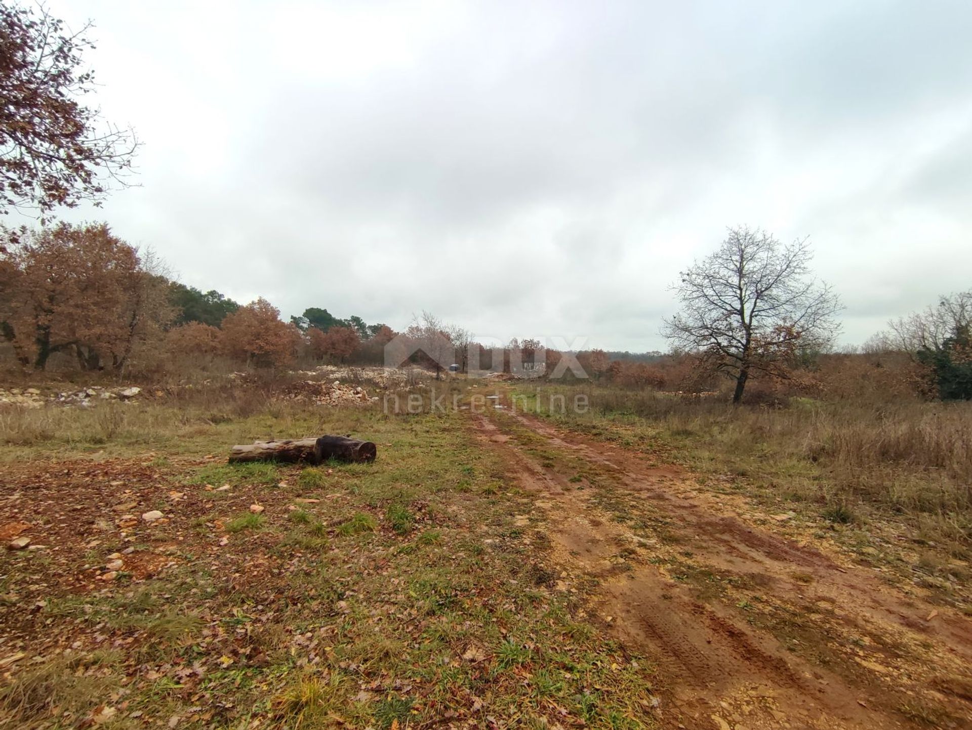 Земля в Воднян, Істарська жупанія 10869741