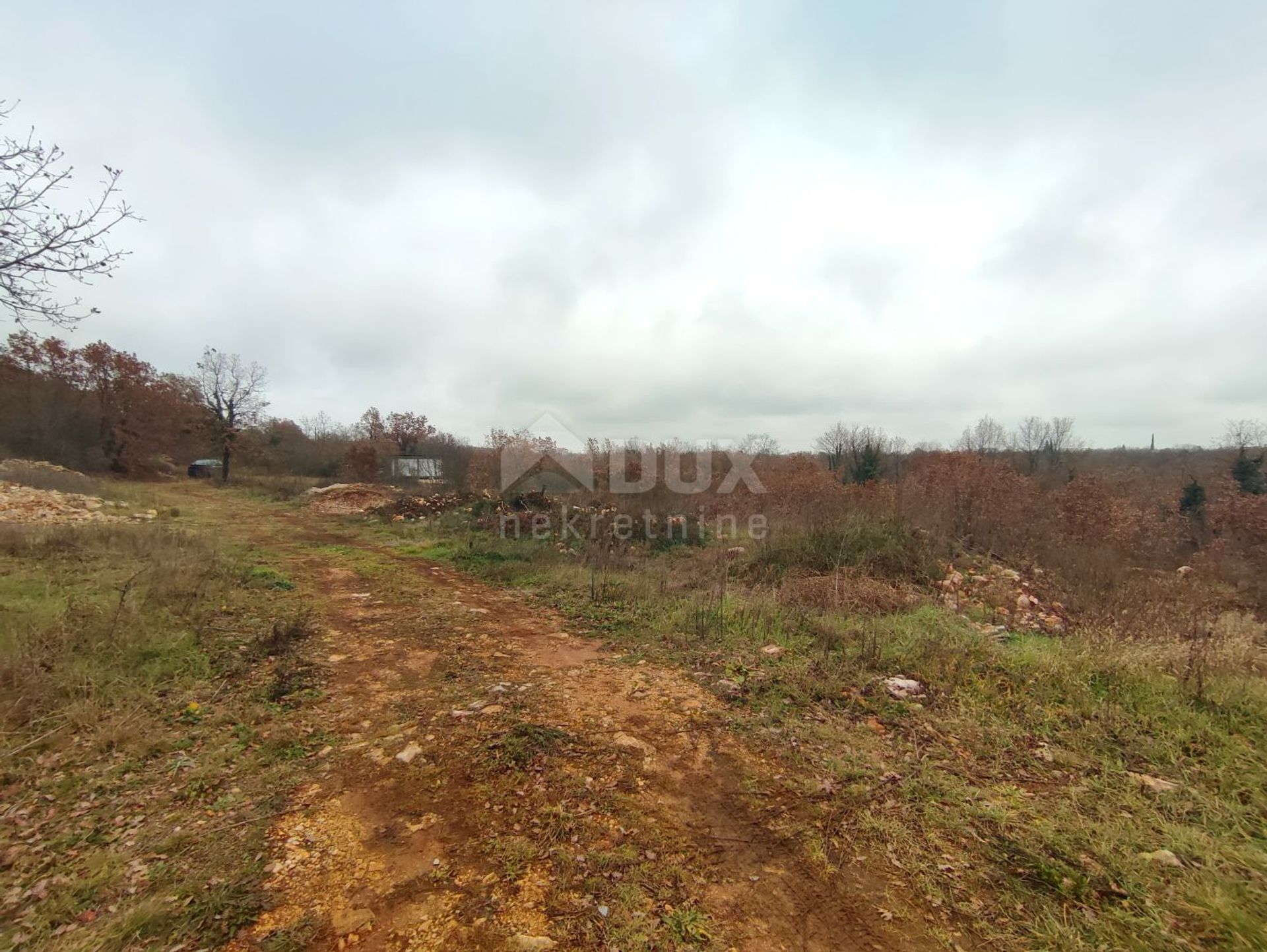 Land im Vodnjan, Istria County 10869741