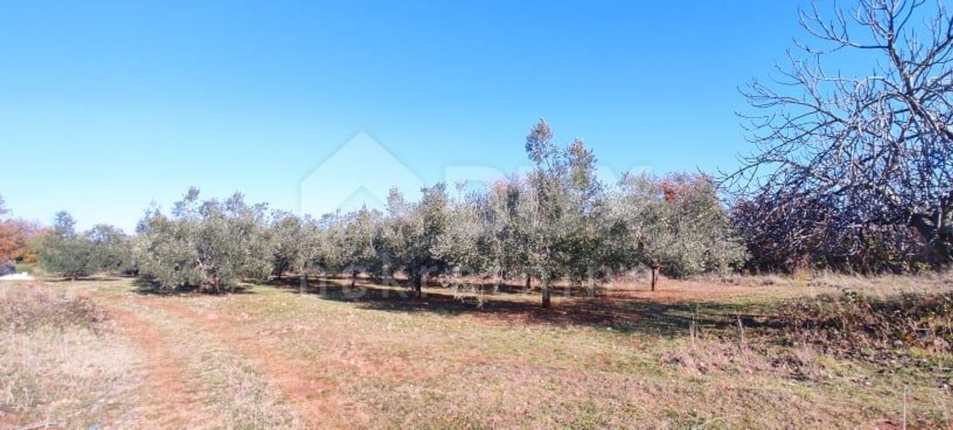 Land in Marcana, Istarska Zupanija 10869748