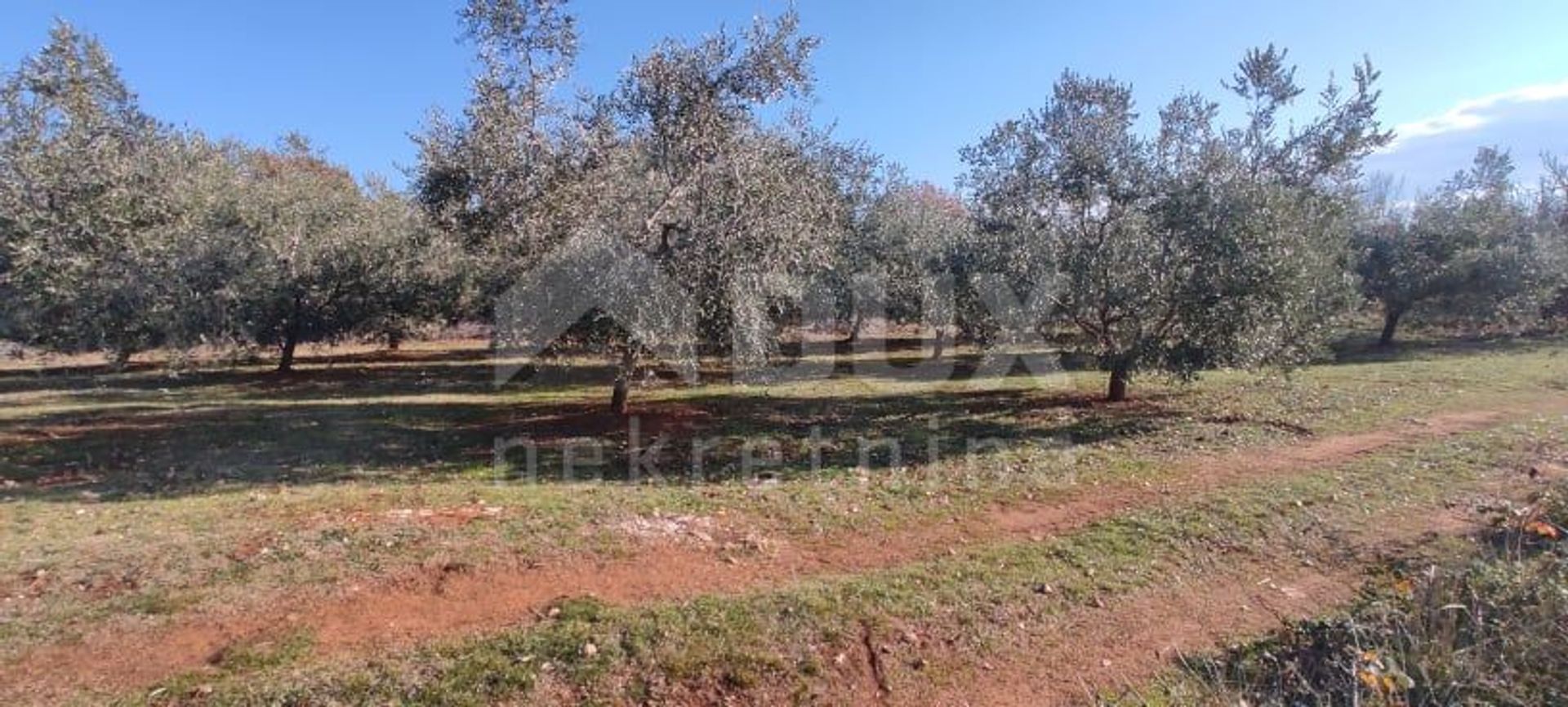 Terre dans Peruški, Istarska županija 10869748