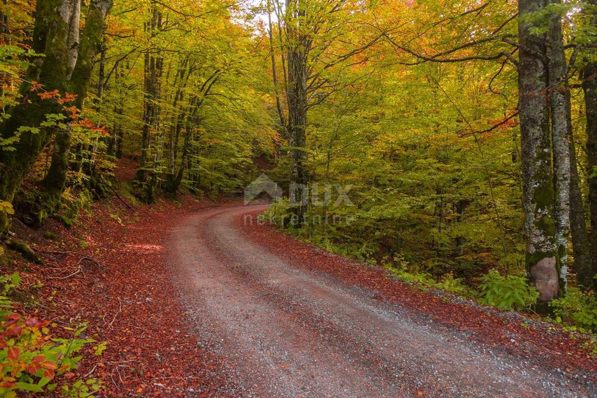 Vedere al dettaglio nel Sunger, Primorje-Gorski Kotar County 10869929