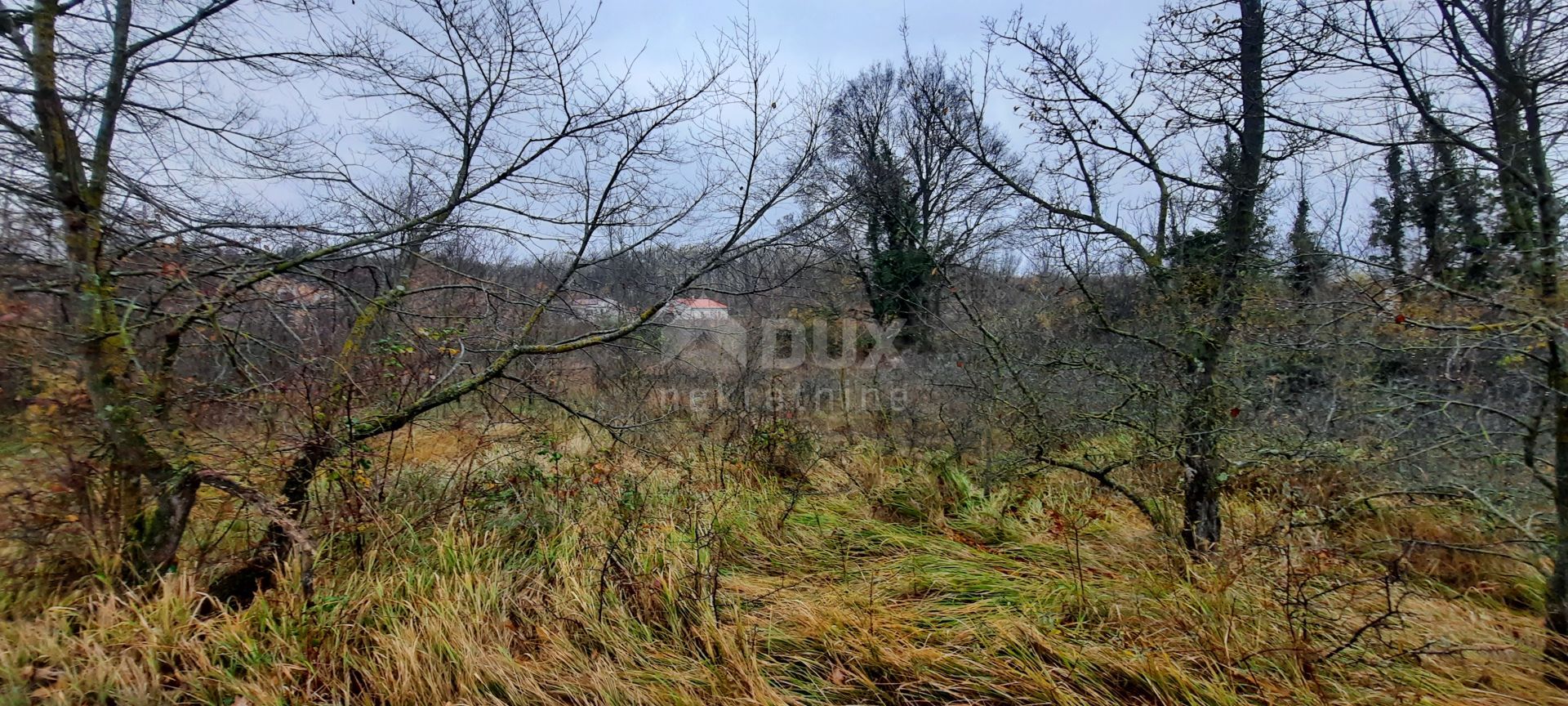 Land in Zminj, Istarska Zupanija 10869934