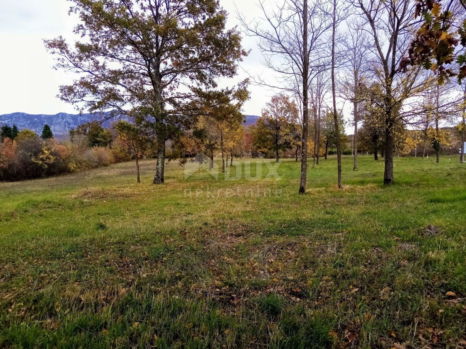 Land i Kršan, Istria County 10869943