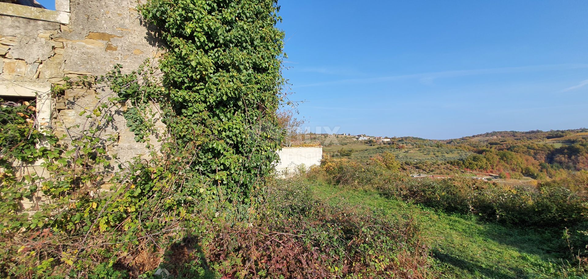 Land i Momjan, Istria County 10869991