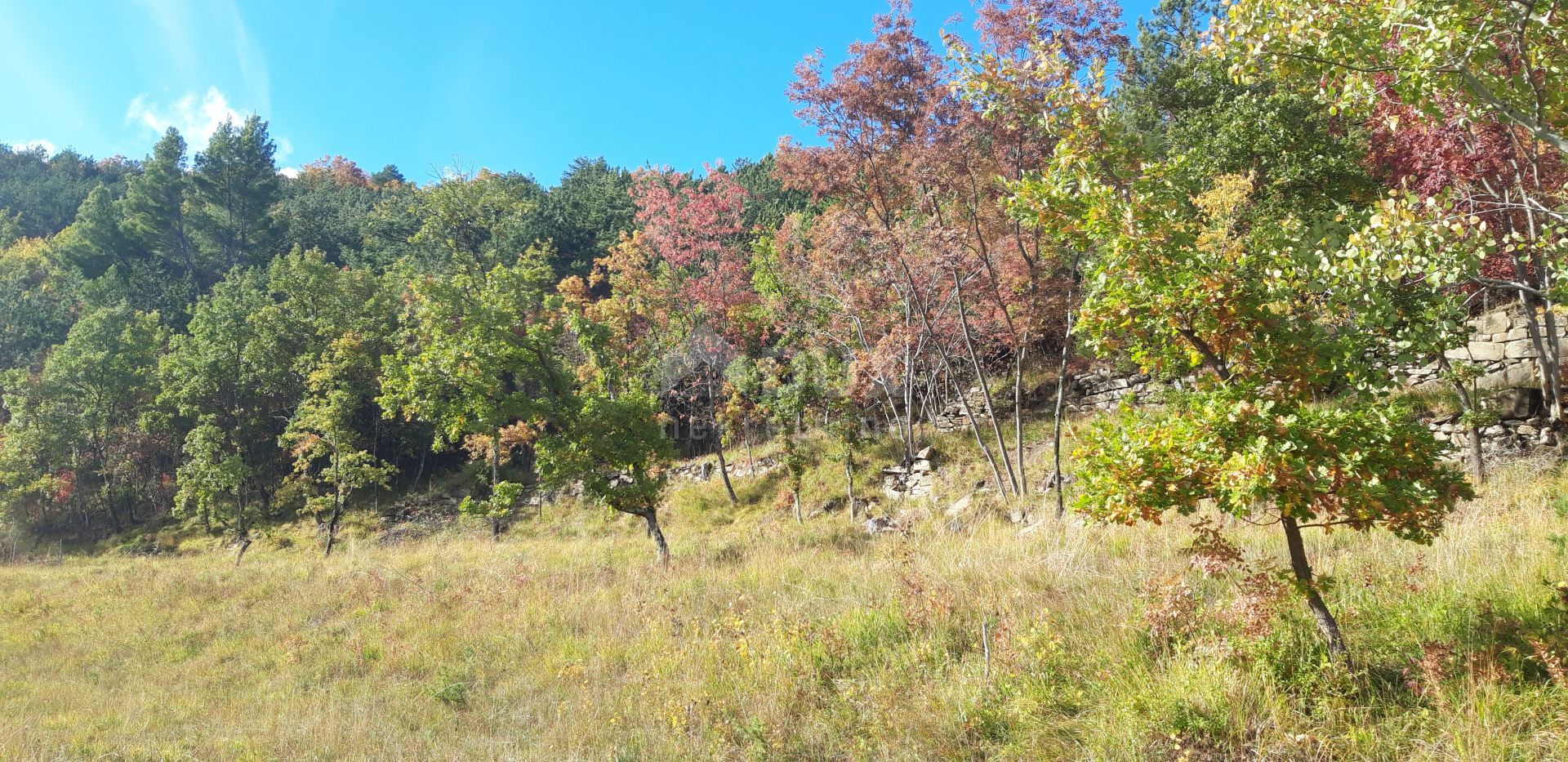 Terra no Buzet, Istarska Zupanija 10870005