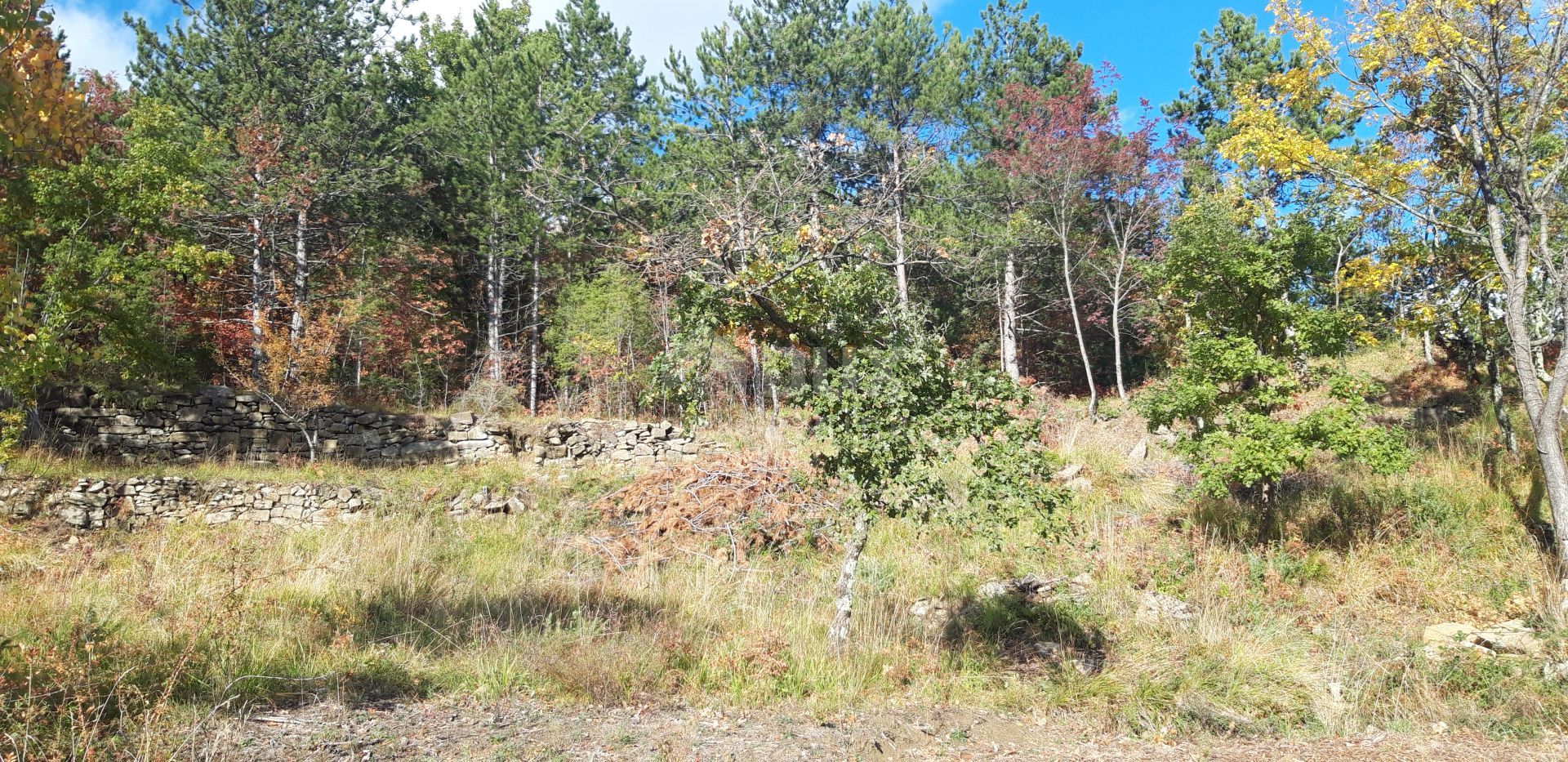 Land in Buzet, Istarska Zupanija 10870005