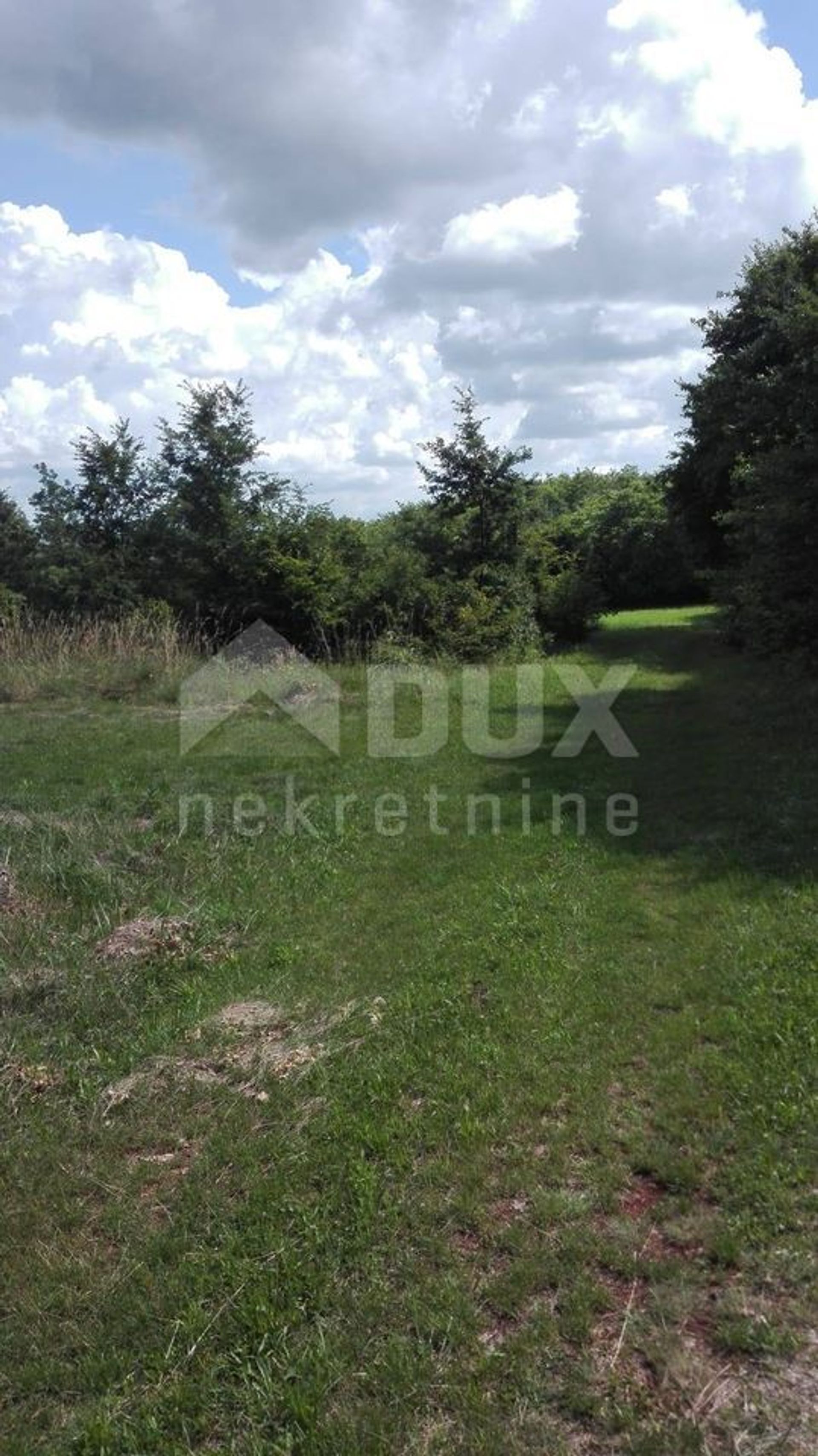 Land in Barban, Istarska Zupanija 10870192