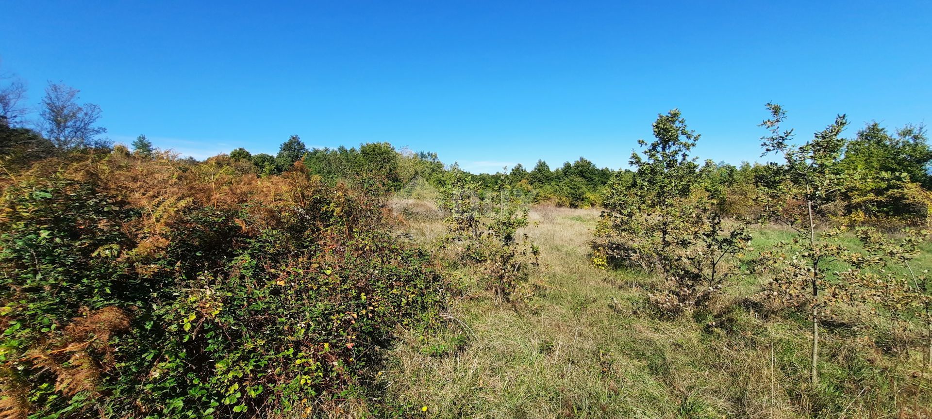 Land im Barban, Istarska Zupanija 10870192