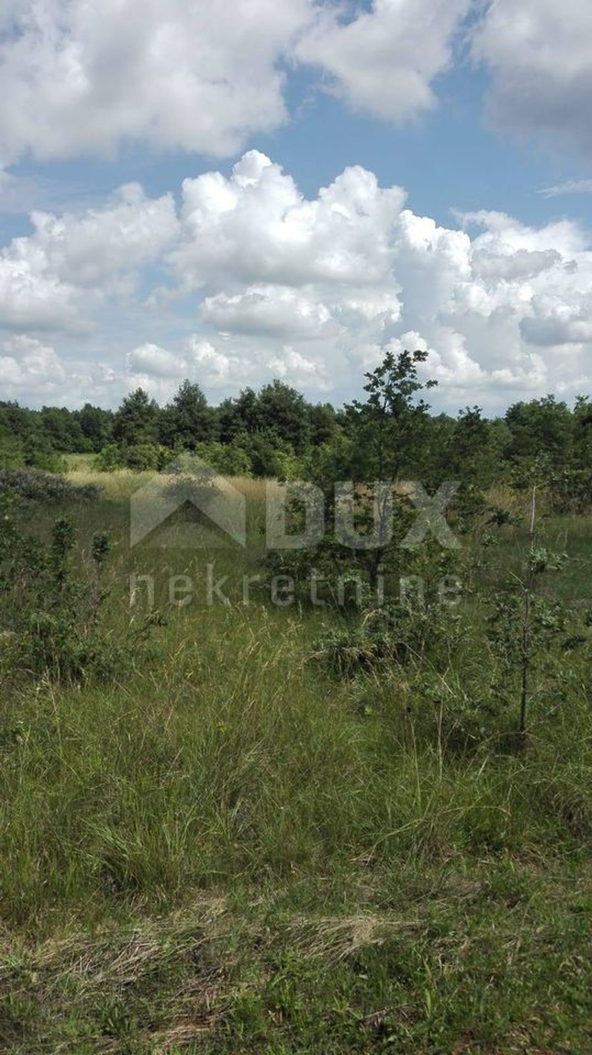 Land in Barban, Istarska Zupanija 10870192