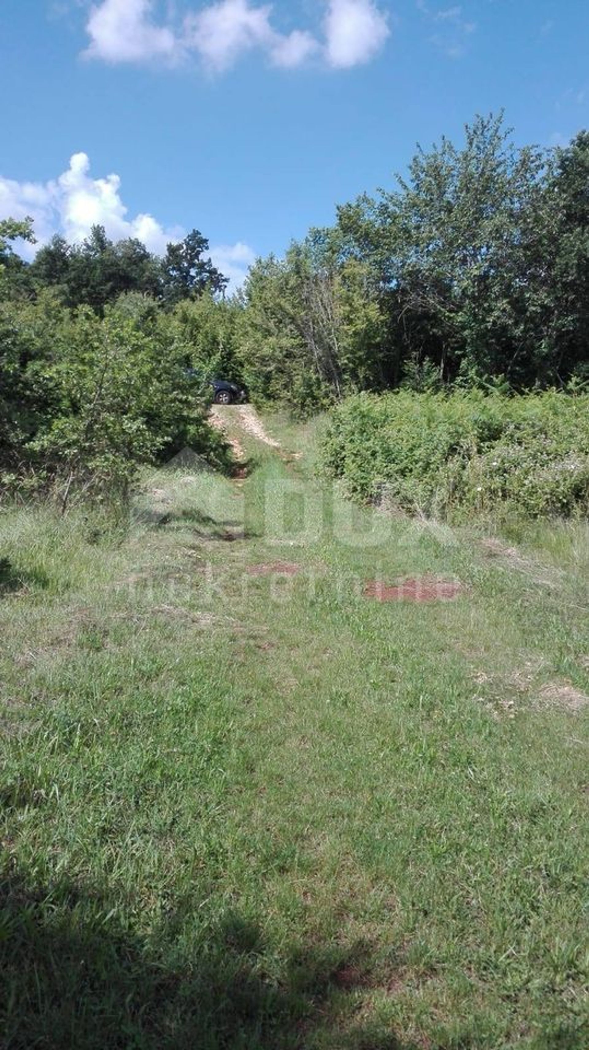 Land in Barban, Istarska Zupanija 10870192