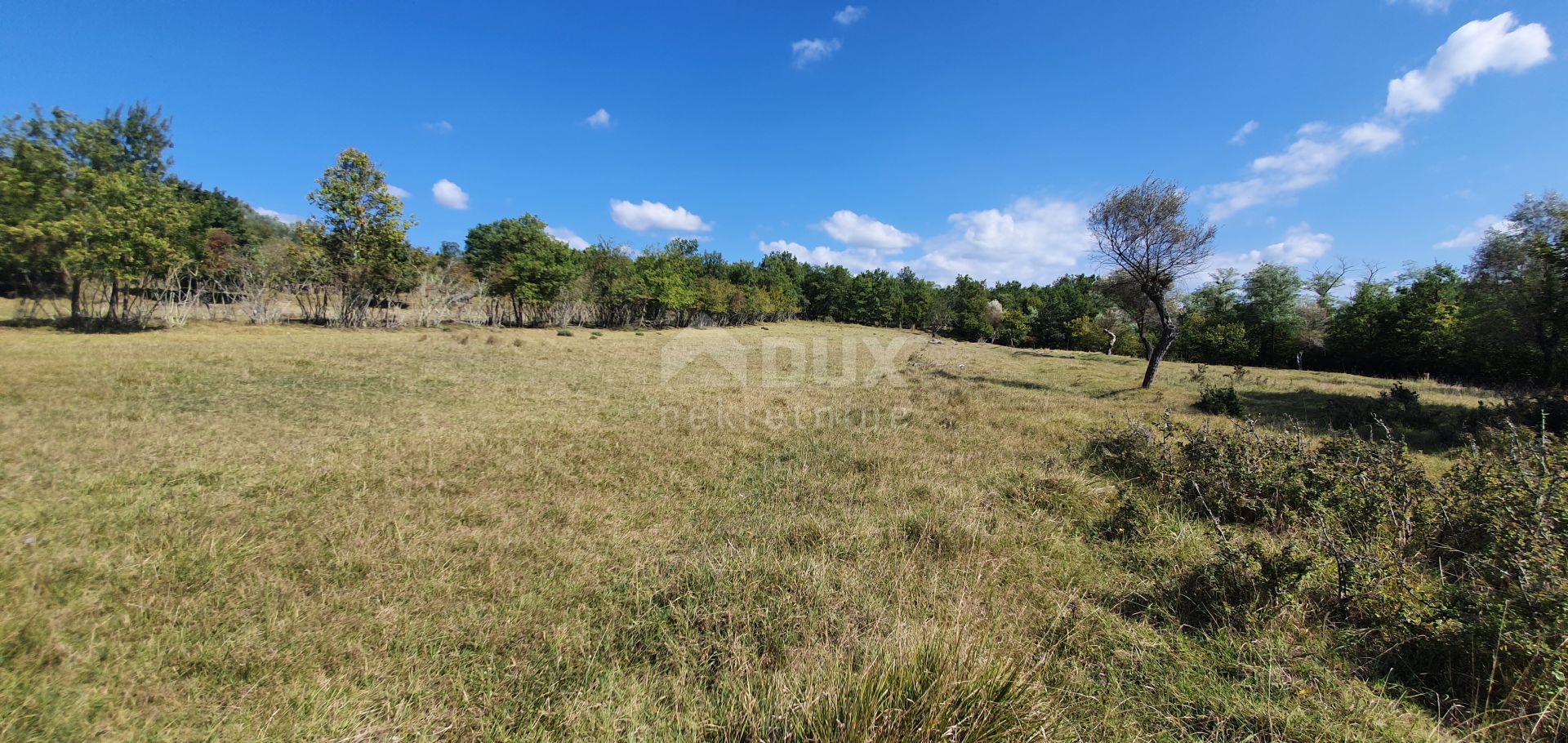 Tanah dalam Grožnjan, Istria County 10870216