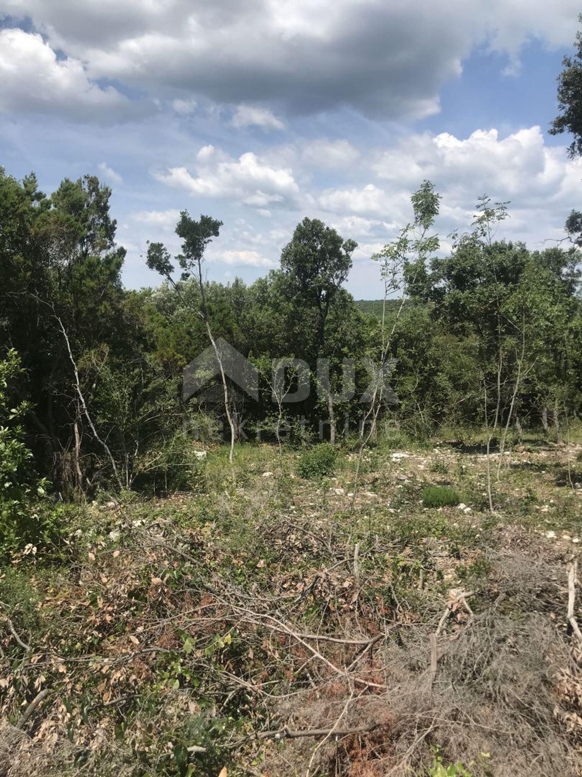 Land in Marcana, Istarska Zupanija 10870232