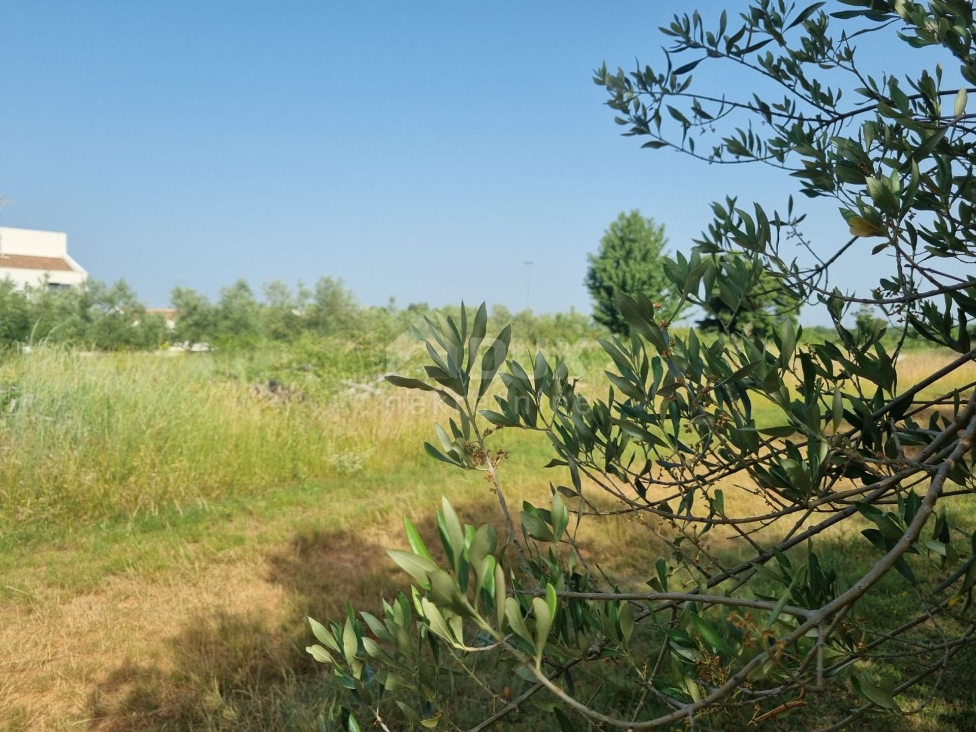 ארץ ב סווטווינצ'נט, איסטרסקה זופנייה 10870447