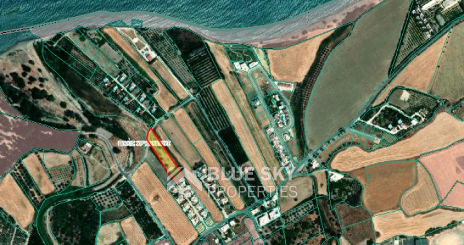 Tanah dalam Polis, Pafos 10870693