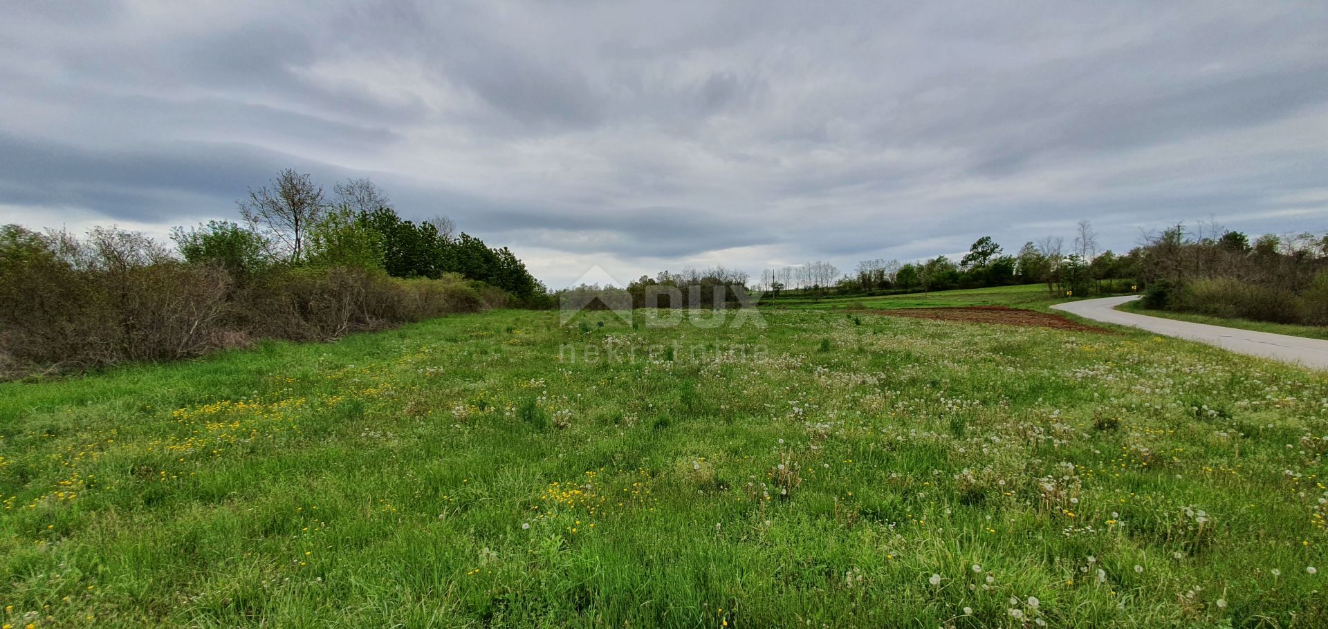 Terre dans Žminj, Istria County 10870796