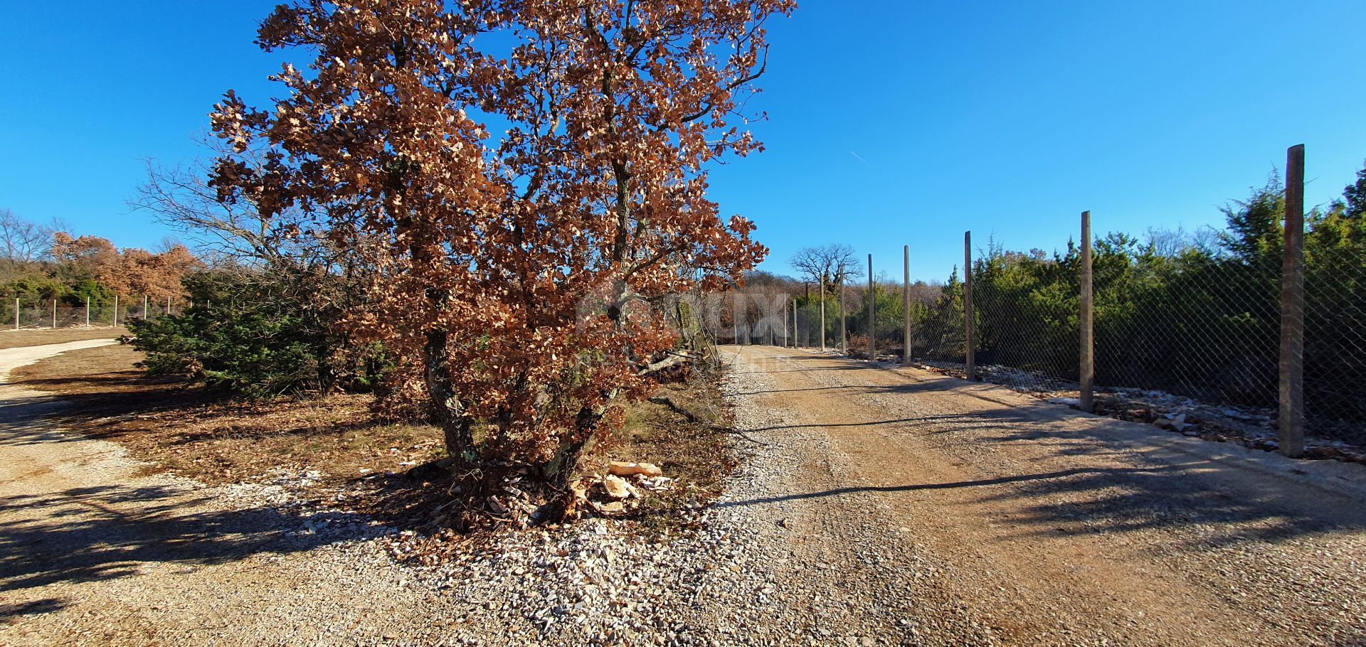 ארץ ב Kanfanar, Istarska Zupanija 10870901