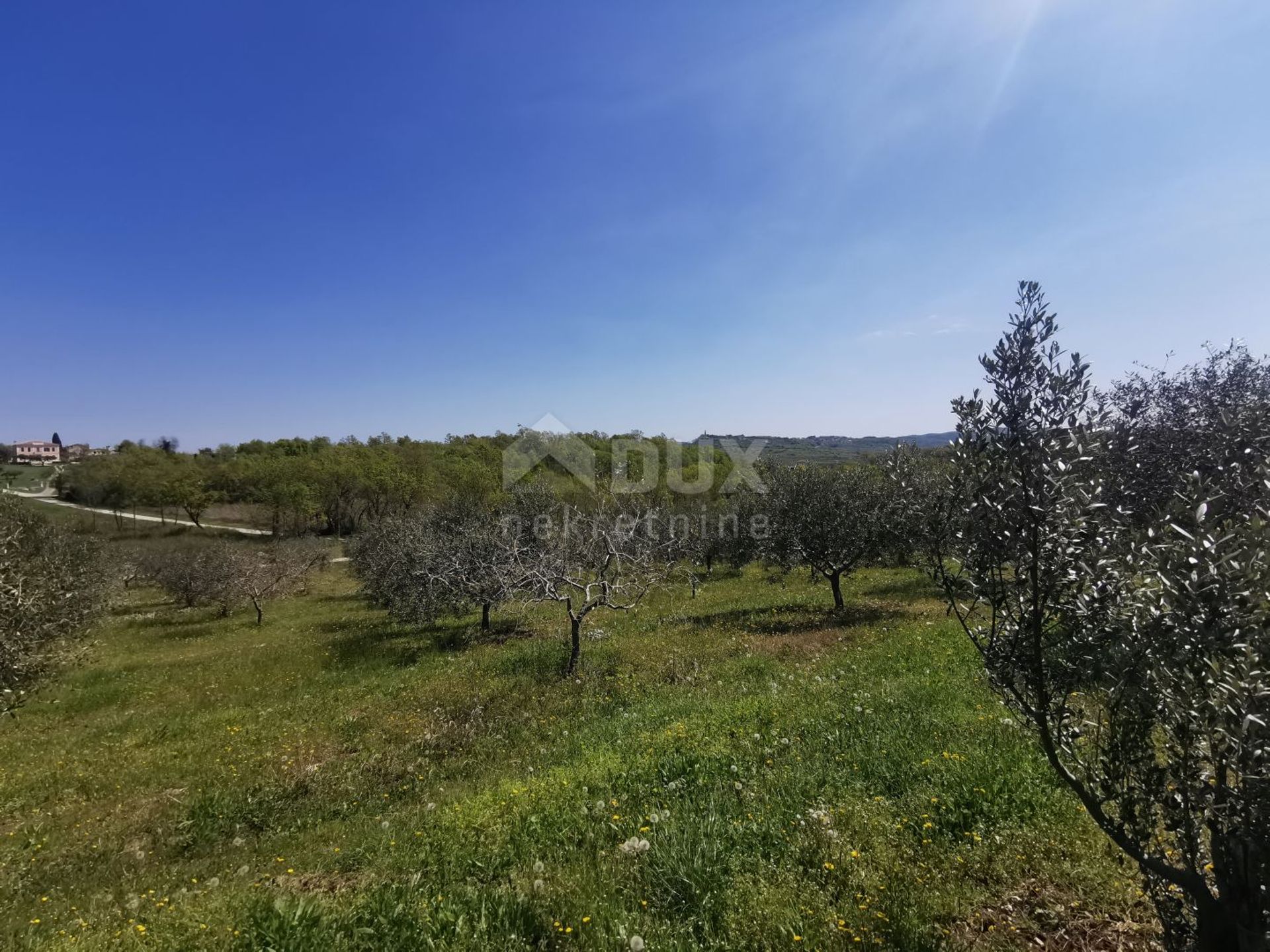 Tanah dalam Buje, Istria County 10870920