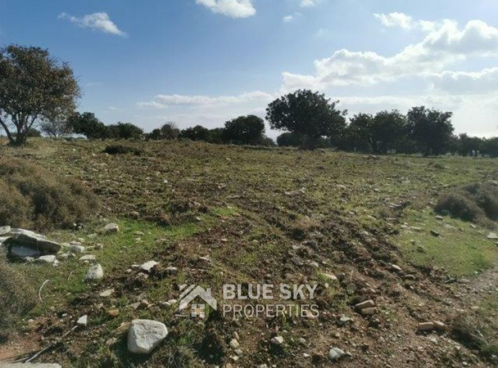 Land i Pampoula, Lemesos 10870943