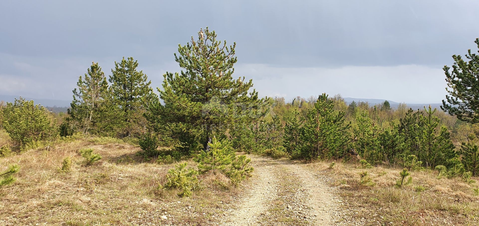 Terra no Gracisce, Istarska Zupanija 10870946