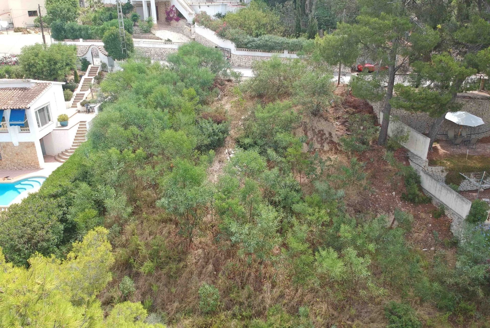 Terre dans Morayra, les îles Canaries 10871005