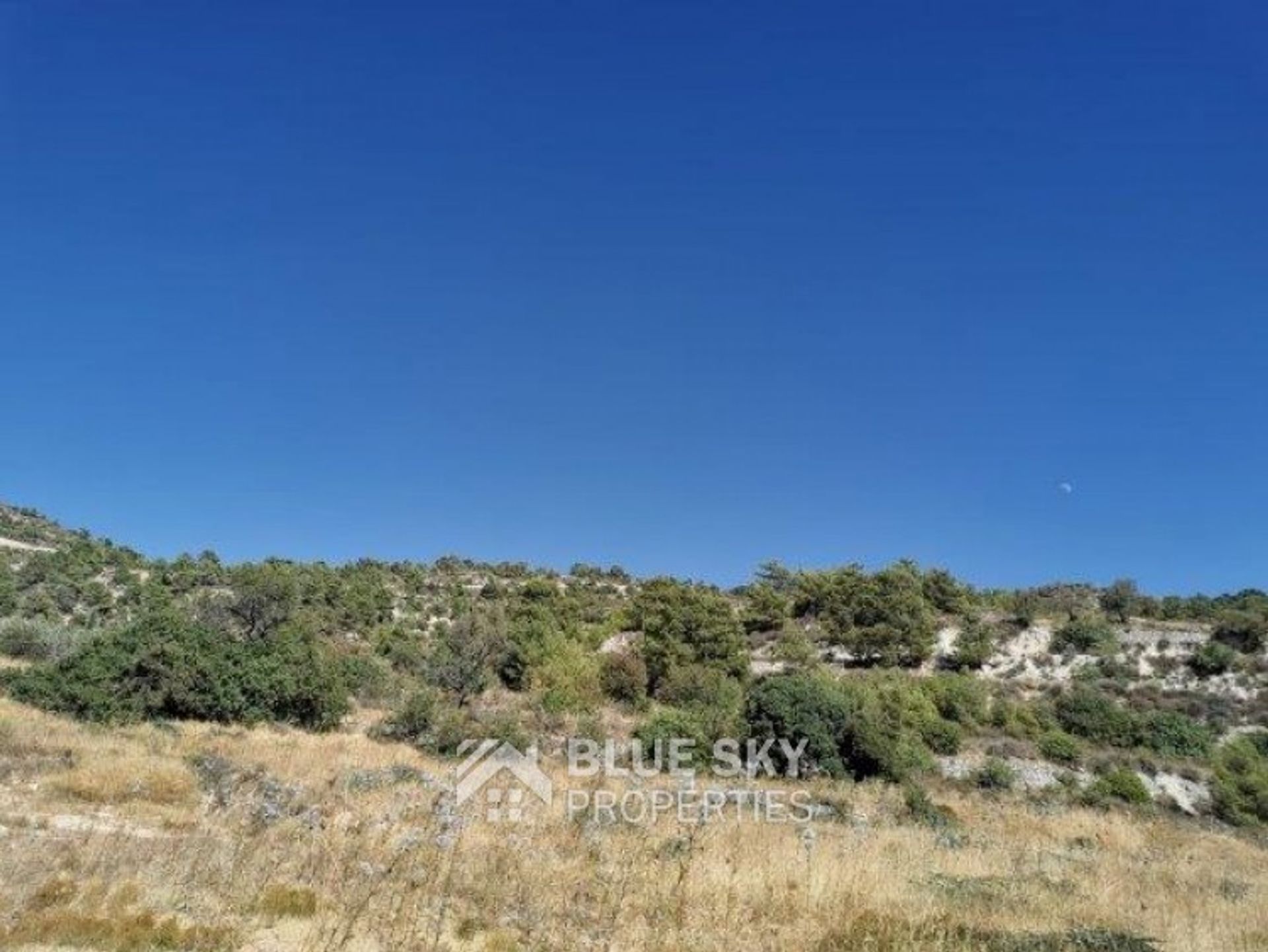 Land i Palodeia, Lemesos 10871032