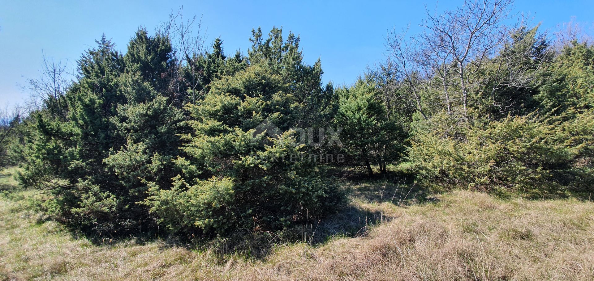 Terra no Labin, Istarska Zupanija 10871113