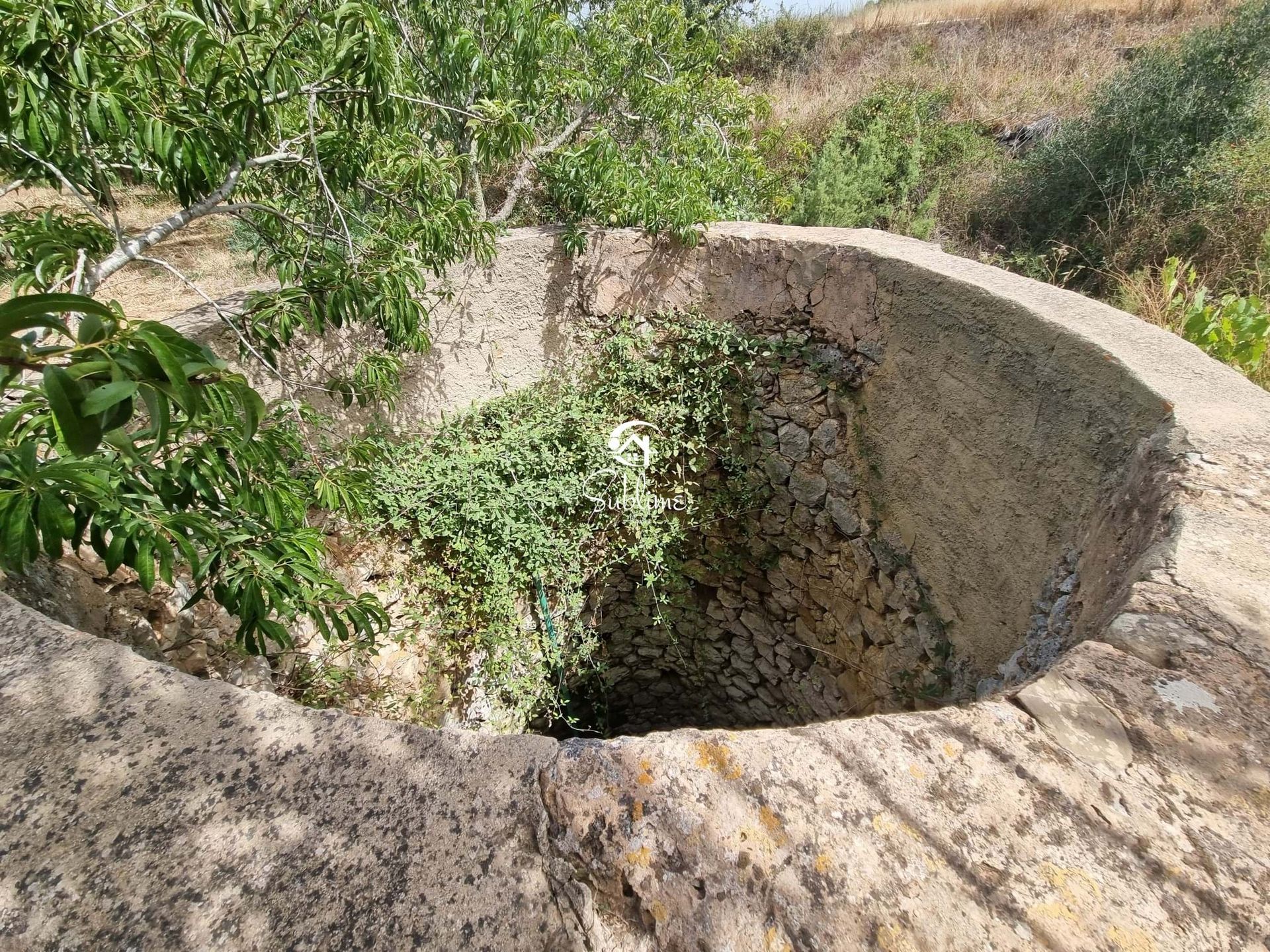 ארץ ב בראו דה סאו מיגל, פארו 10871154