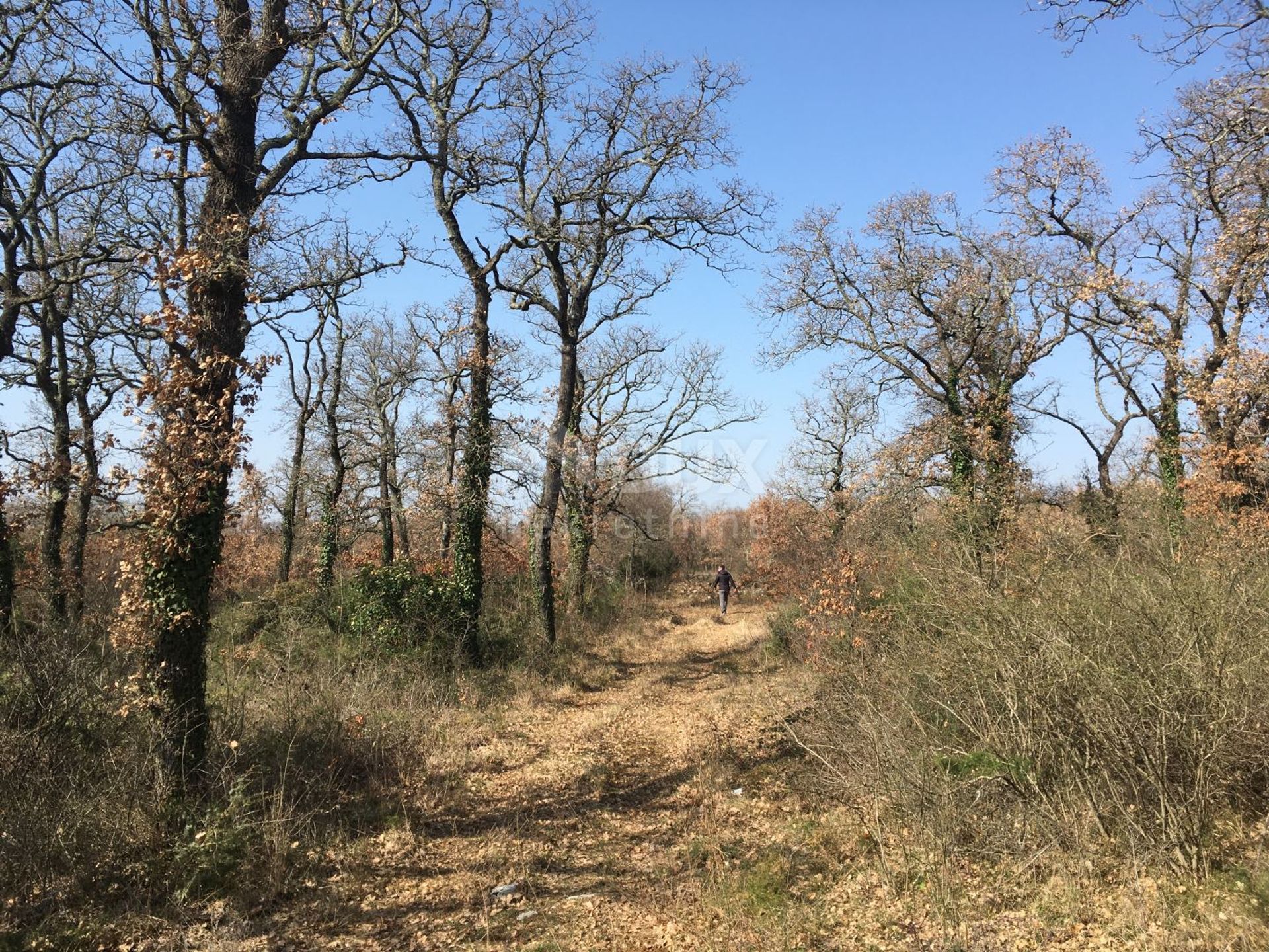 Land im Smoljanci, Istarska županija 10871270