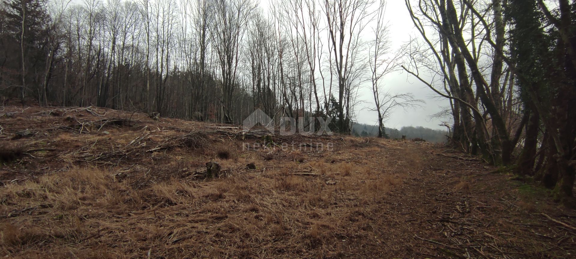 Land in Klana, Primorsko-Goranska Zupanija 10871315