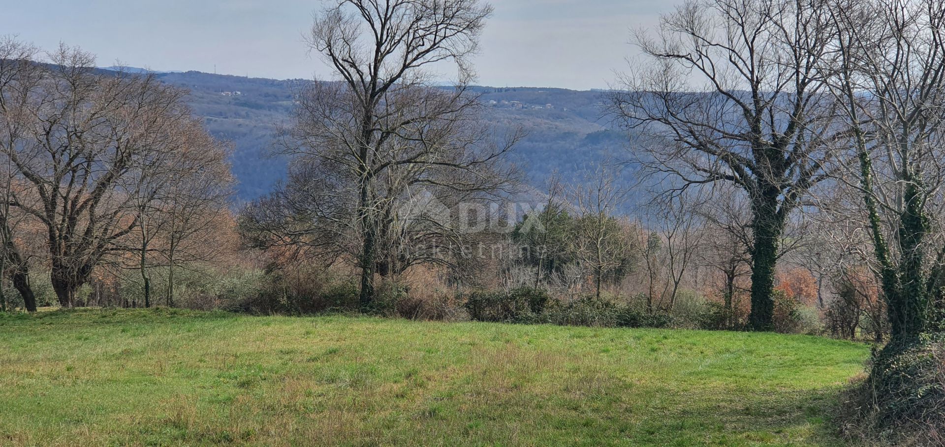 Land in Barban, Istarska Zupanija 10871361