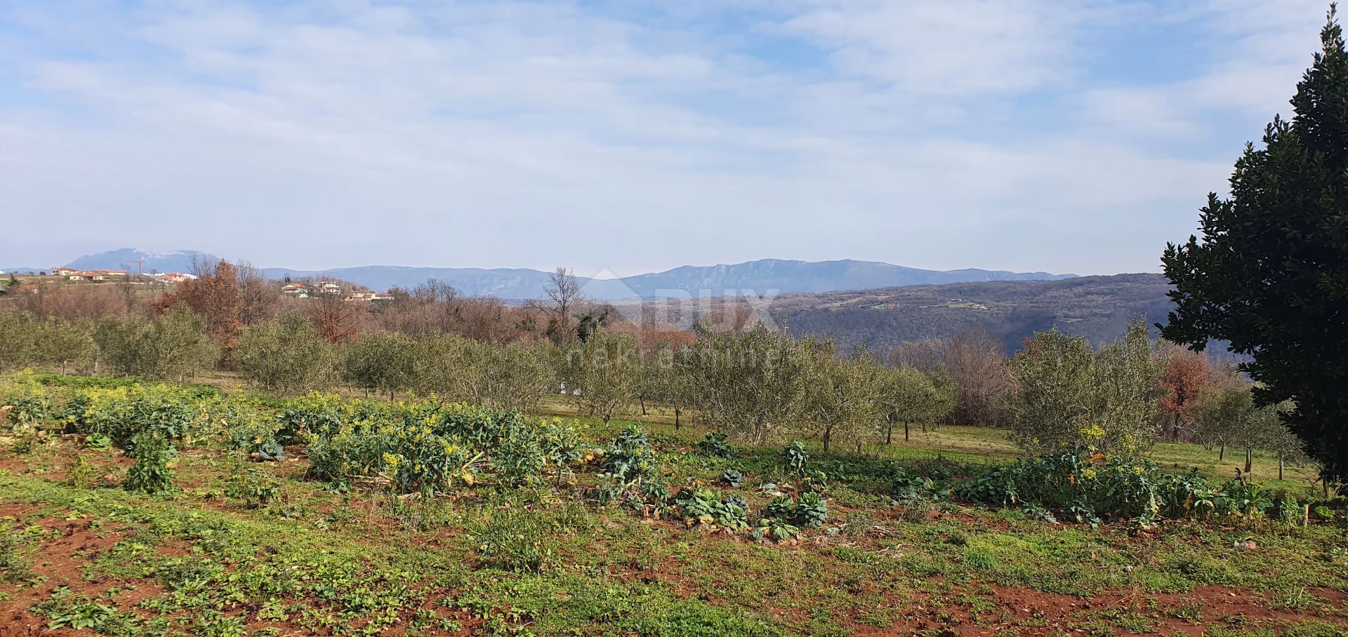 土地 在 Sutivanac, Istarska županija 10871361