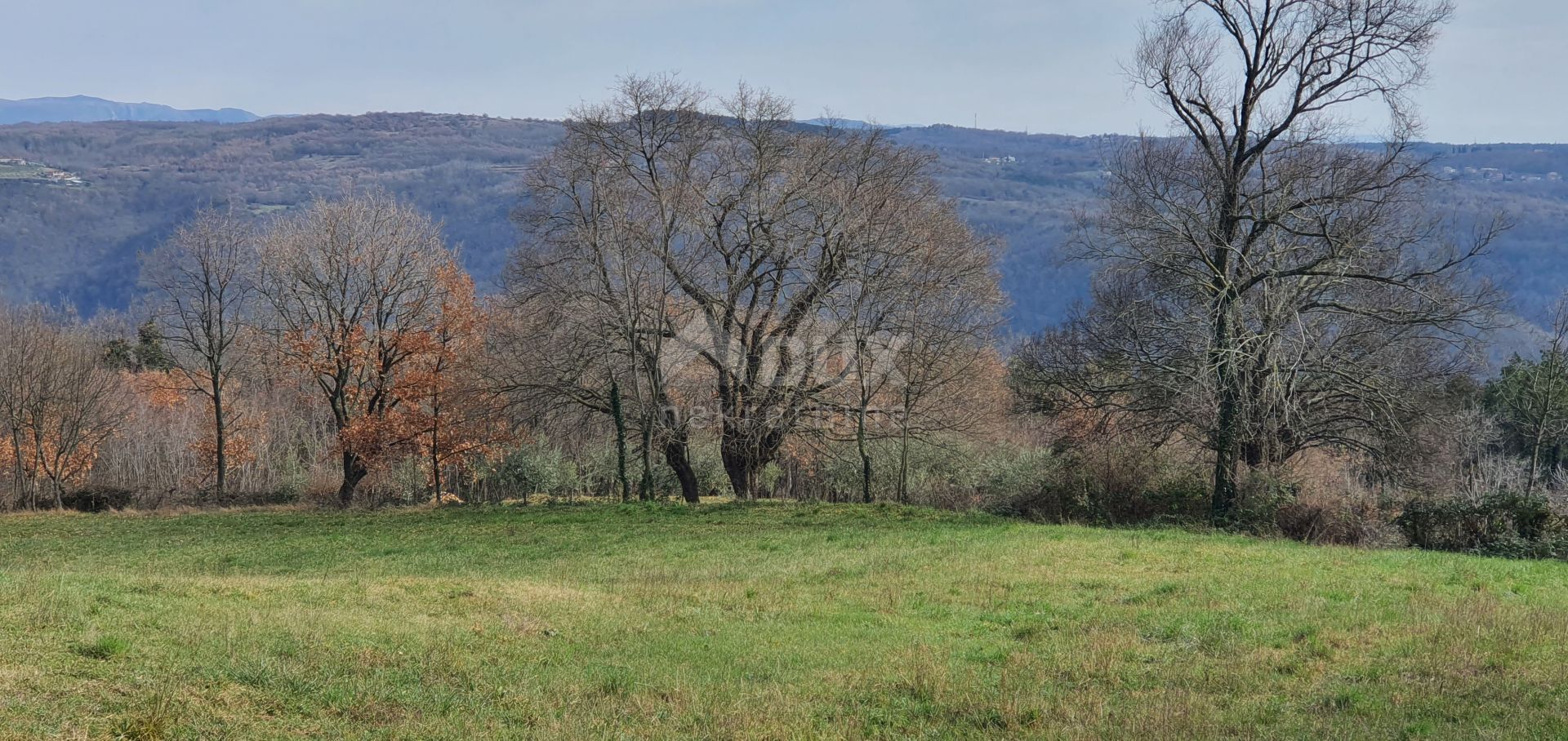 Tierra en Sutivanac, Istarska županija 10871361