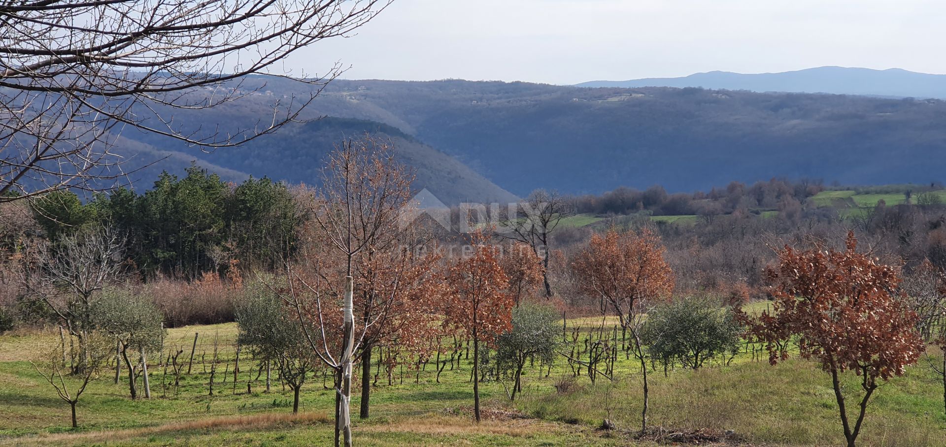 土地 在 Sutivanac, Istarska županija 10871361