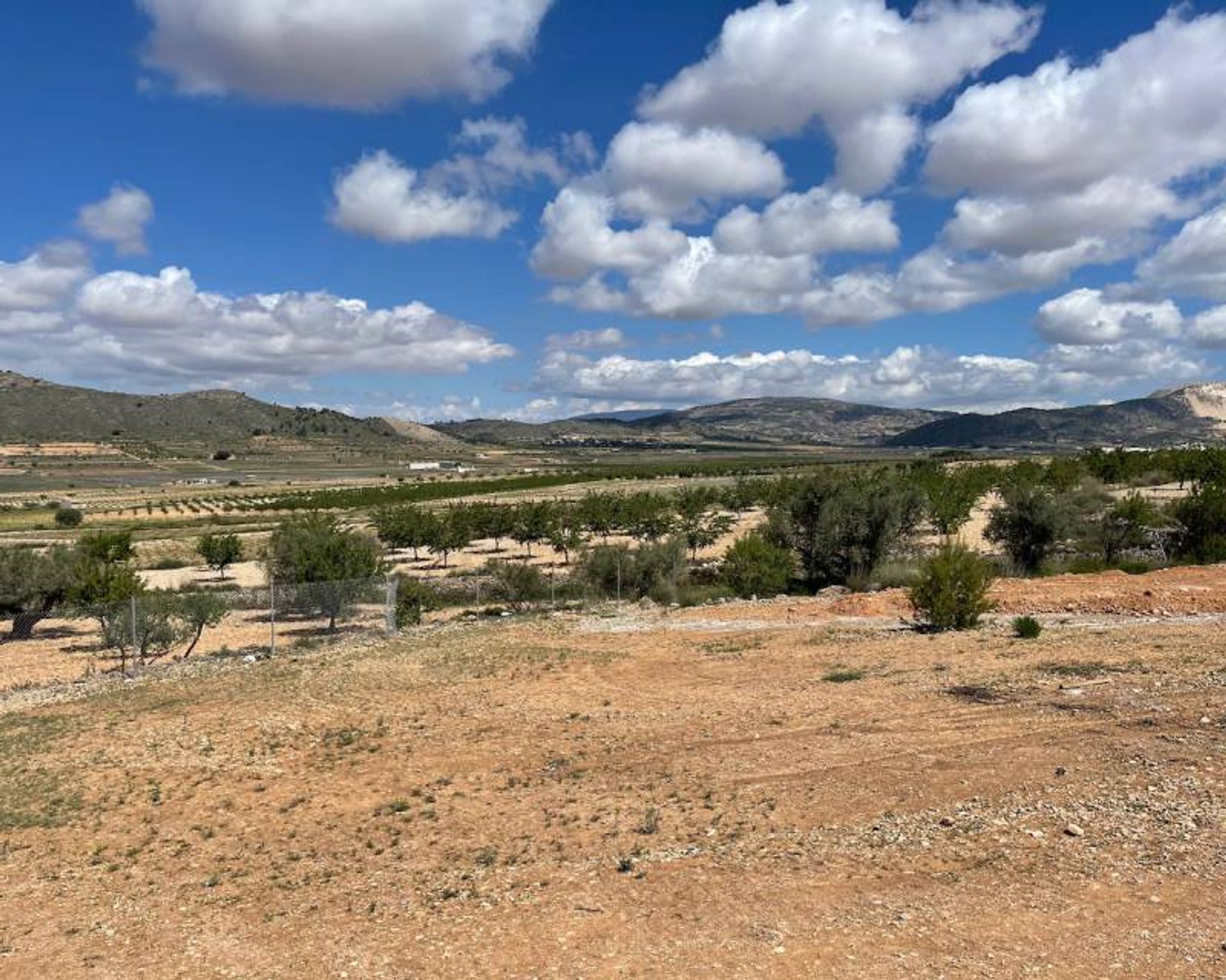 casa en Pinoso, Comunidad Valenciana 10871524