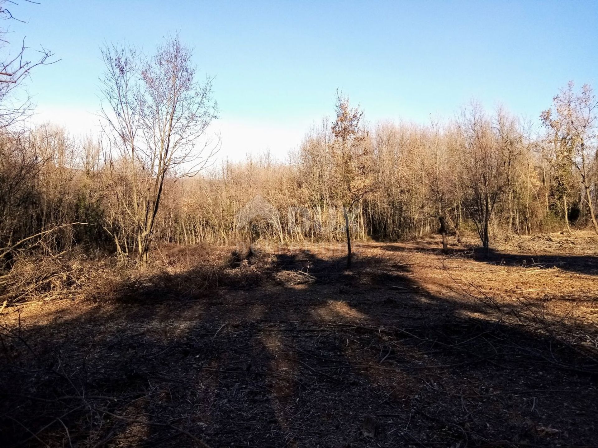 Land in Barban, Istarska Zupanija 10871625