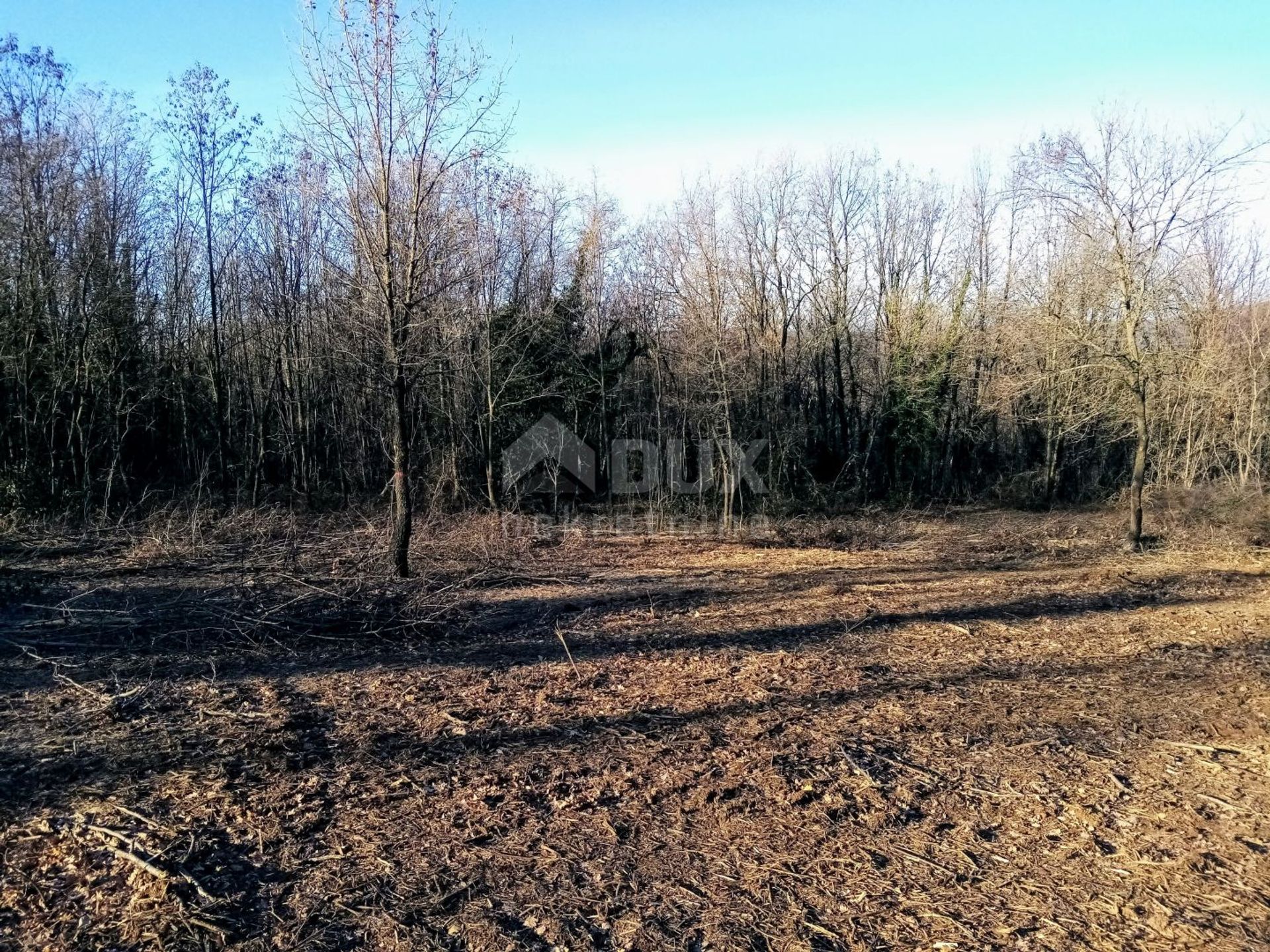 Land in Barban, Istarska Zupanija 10871625